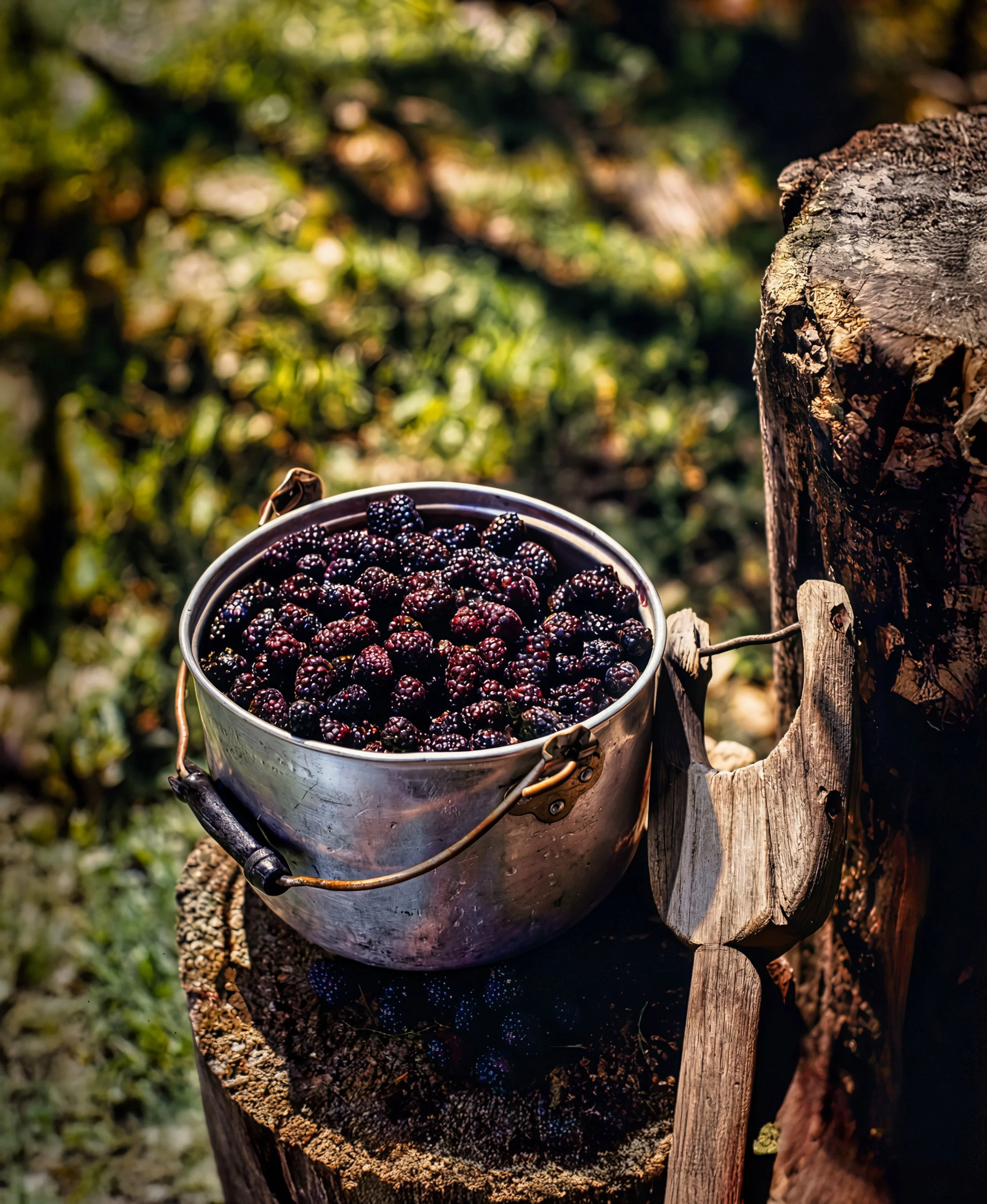 Black Berries