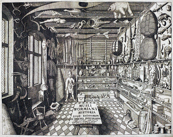 An early Wunderkammer, courtesy of Wikipedia. That is JUST what it looks like backstage at our blog.