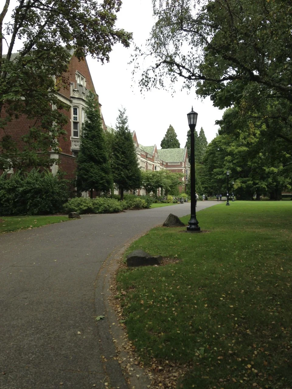Reed College, looking extra-collegiate.