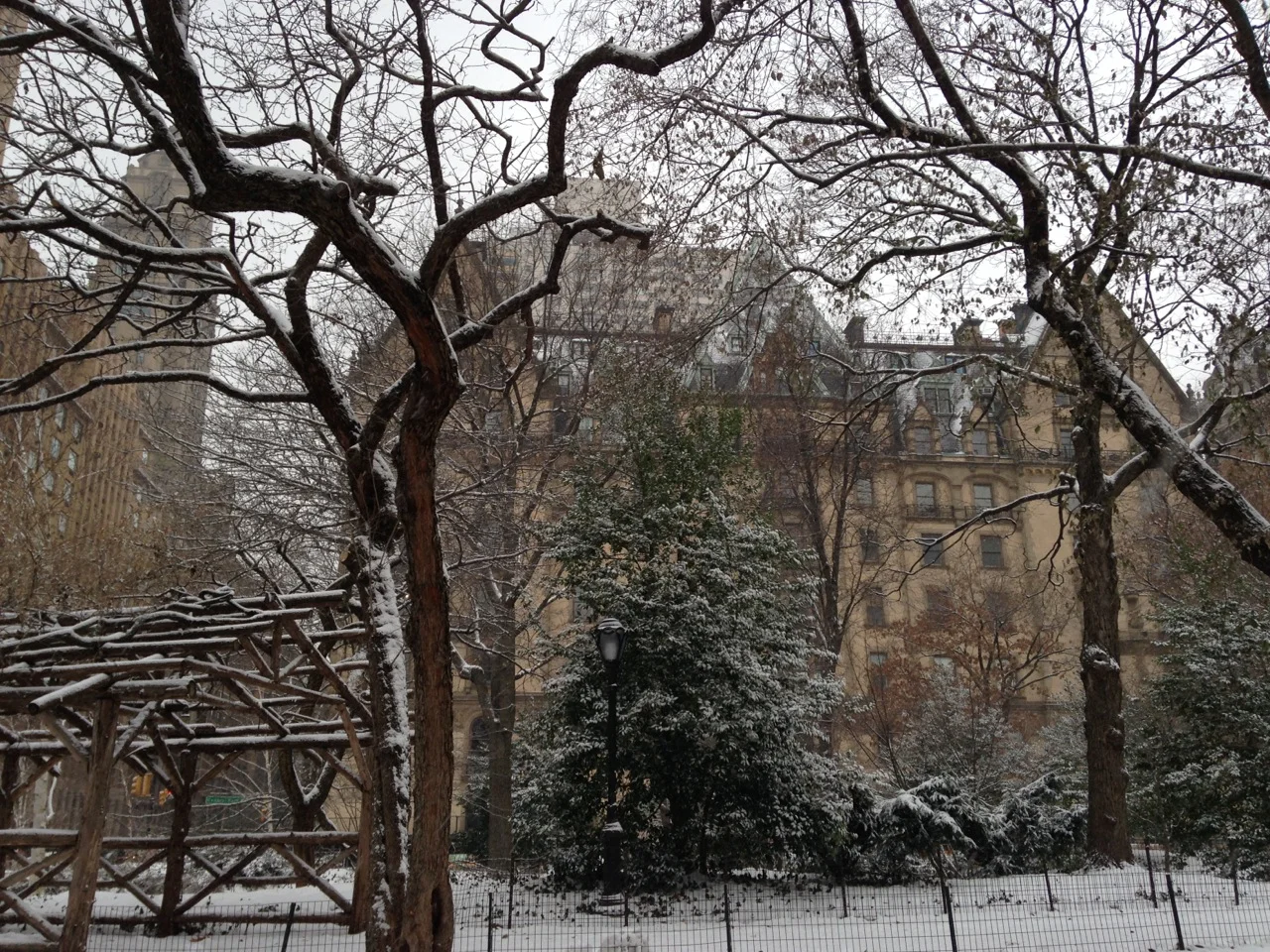 Central Park looking west.