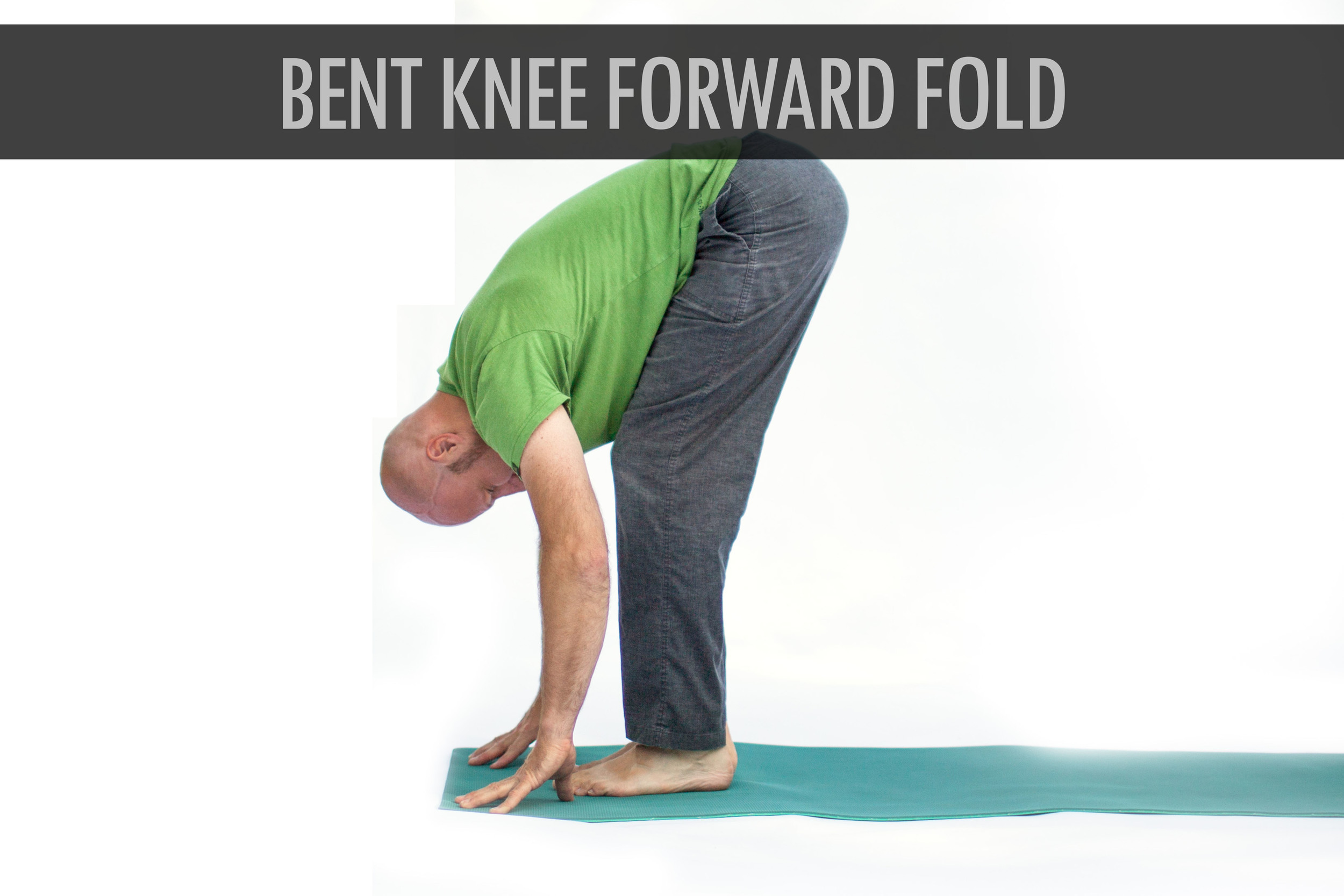Bent Knee Forward Fold.jpg