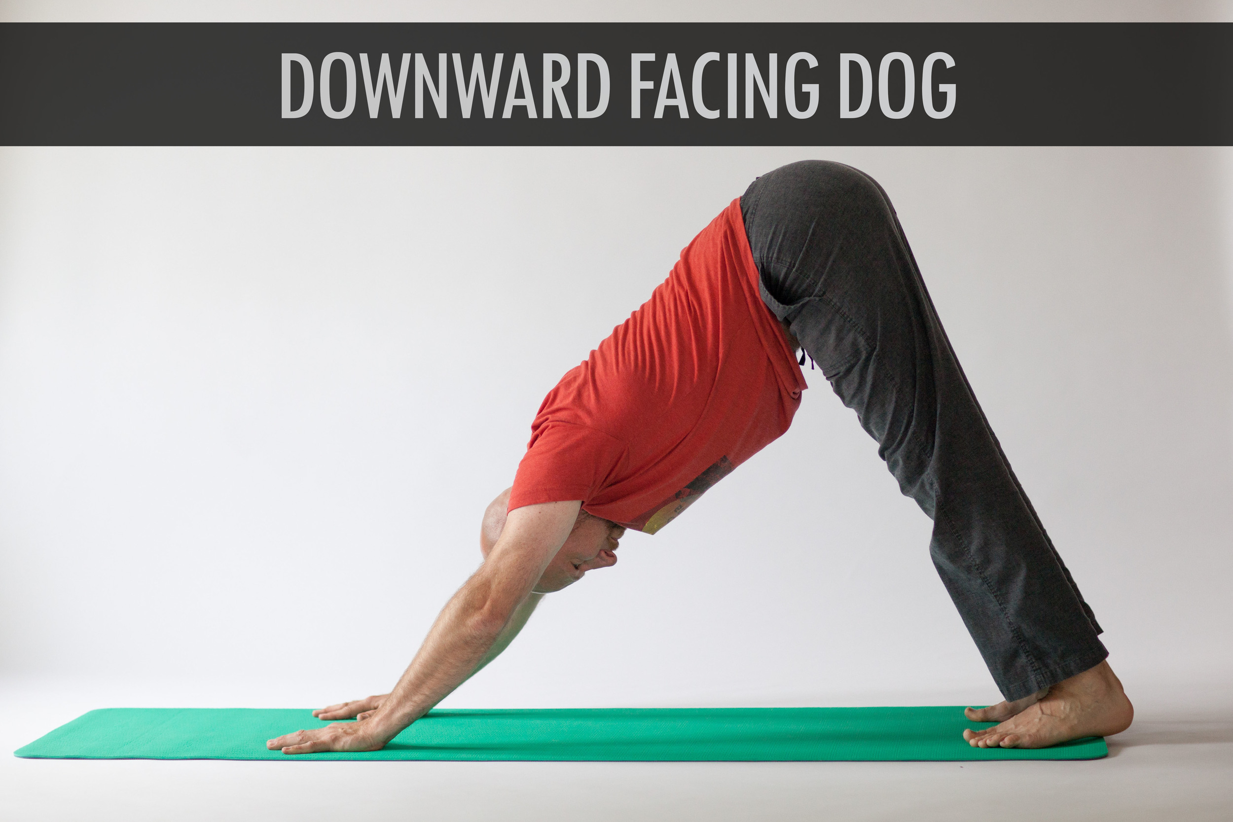 Downward Facing Dog 4.jpg