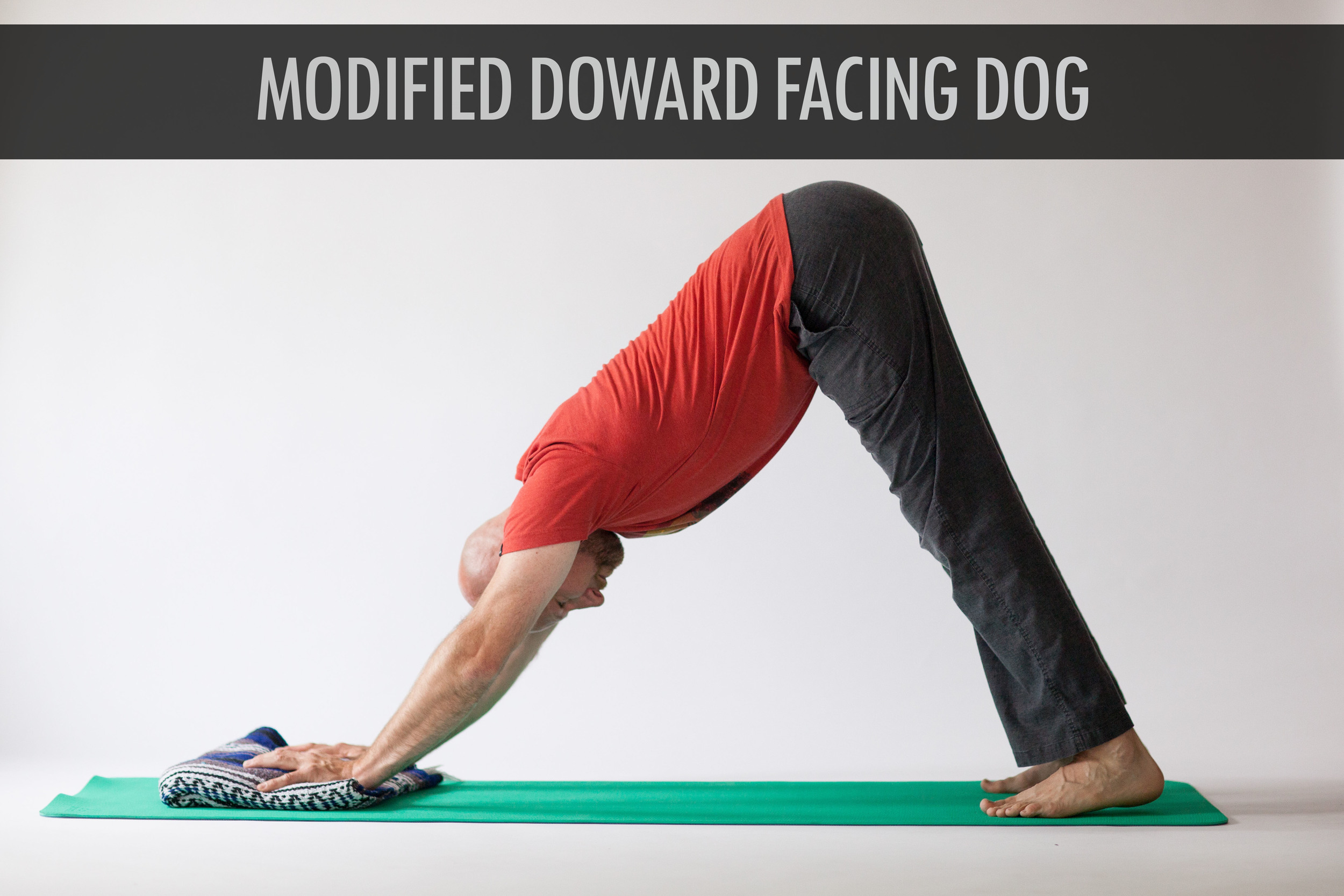 Modified Doward Facing Dog.jpg