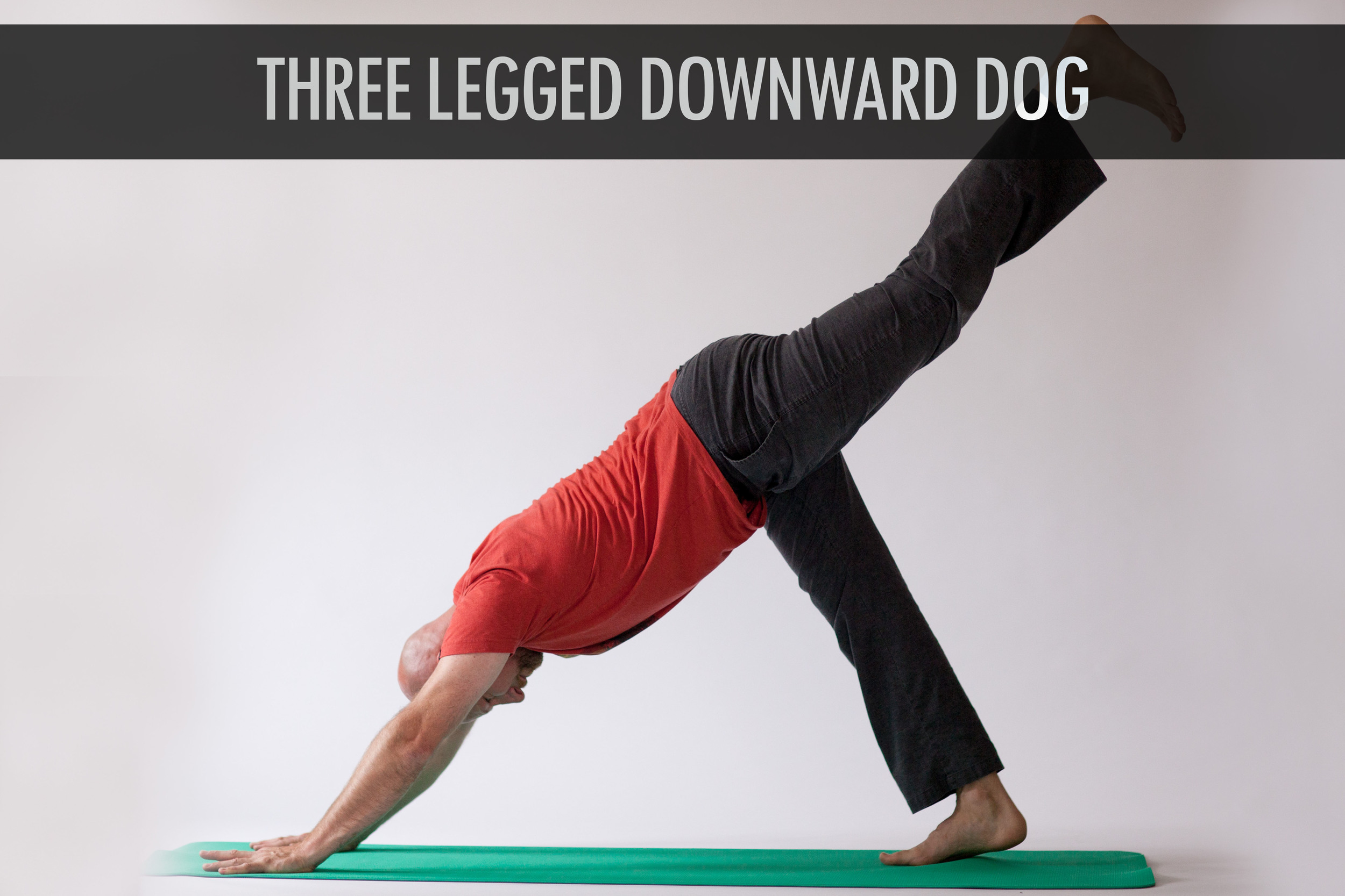 Three Legged Downward Dog.jpg