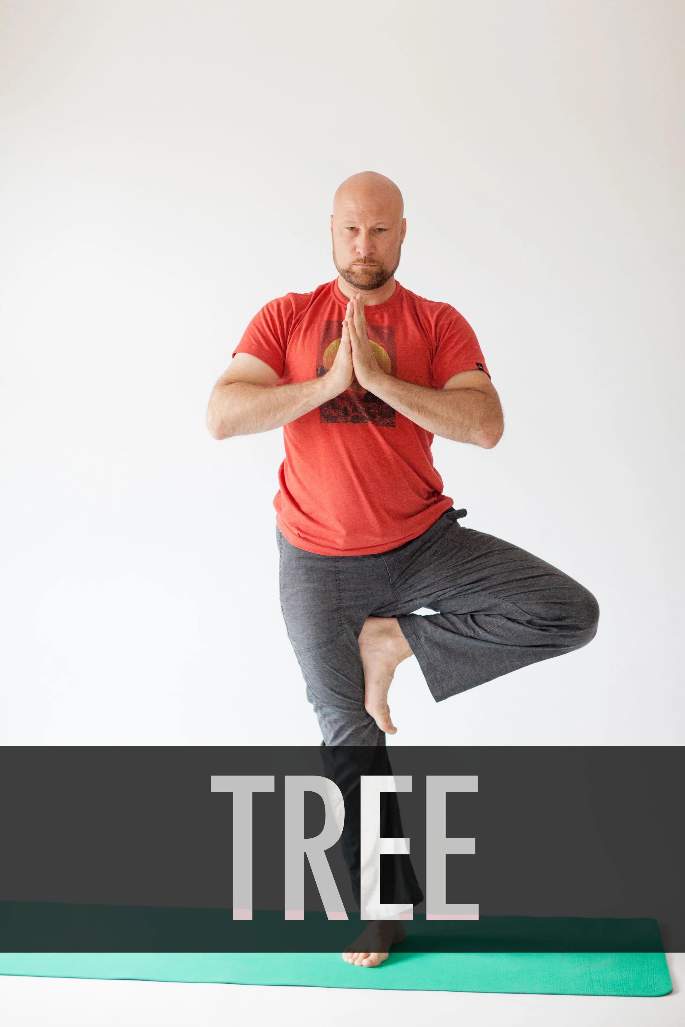 Tree.jpg
