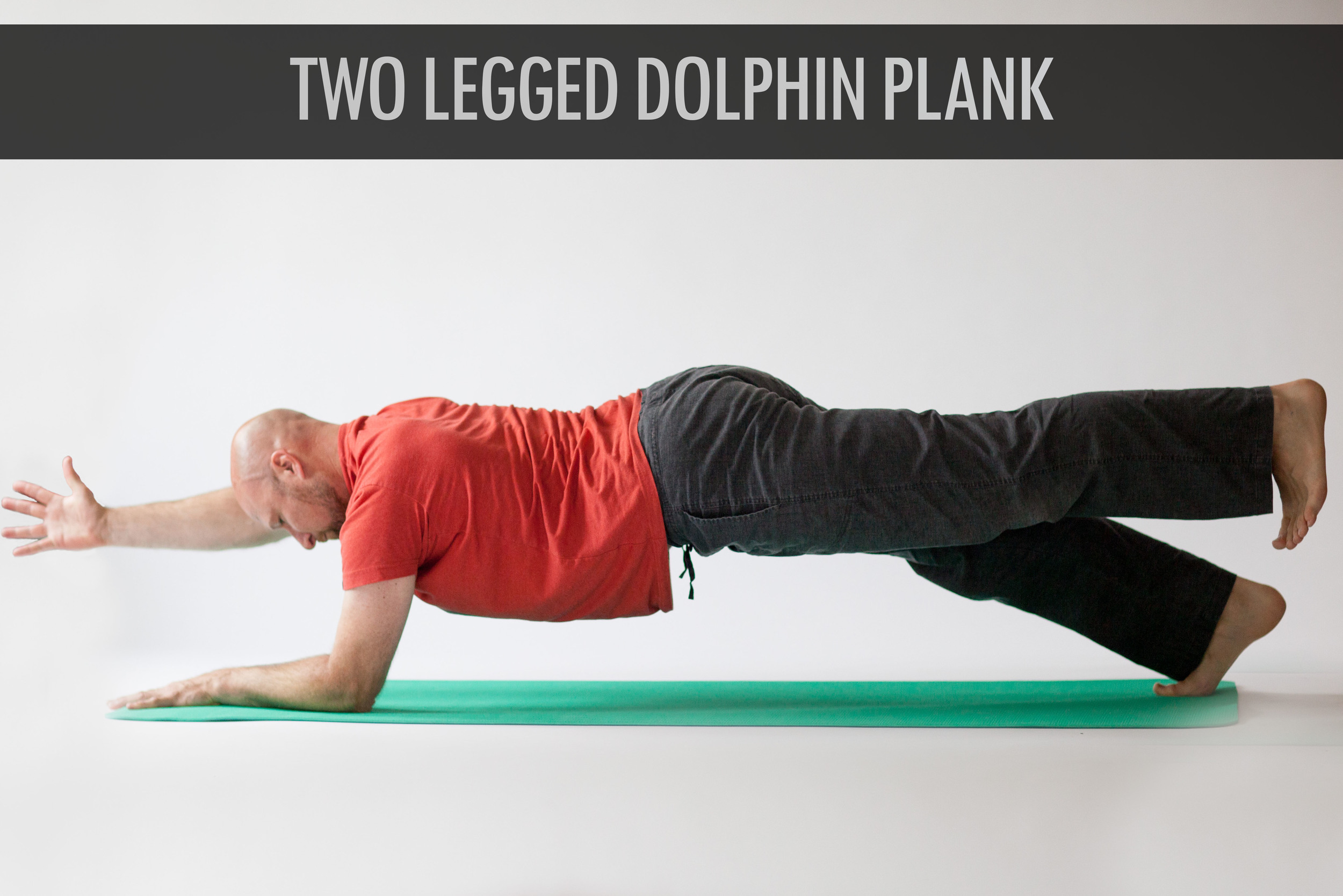 Two Legged Dolphin Plank.jpg