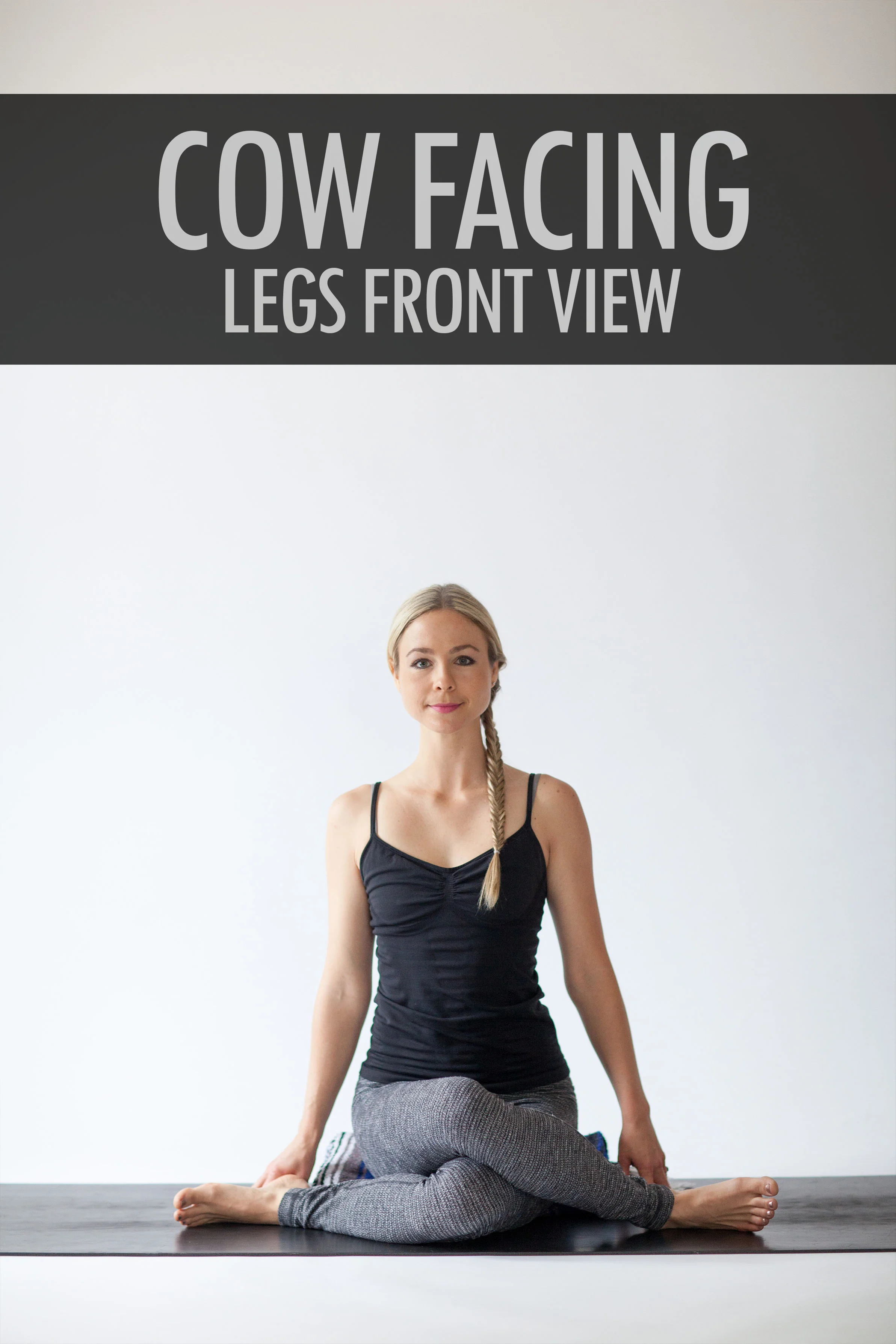 Cow Facing Legs Front View.jpg