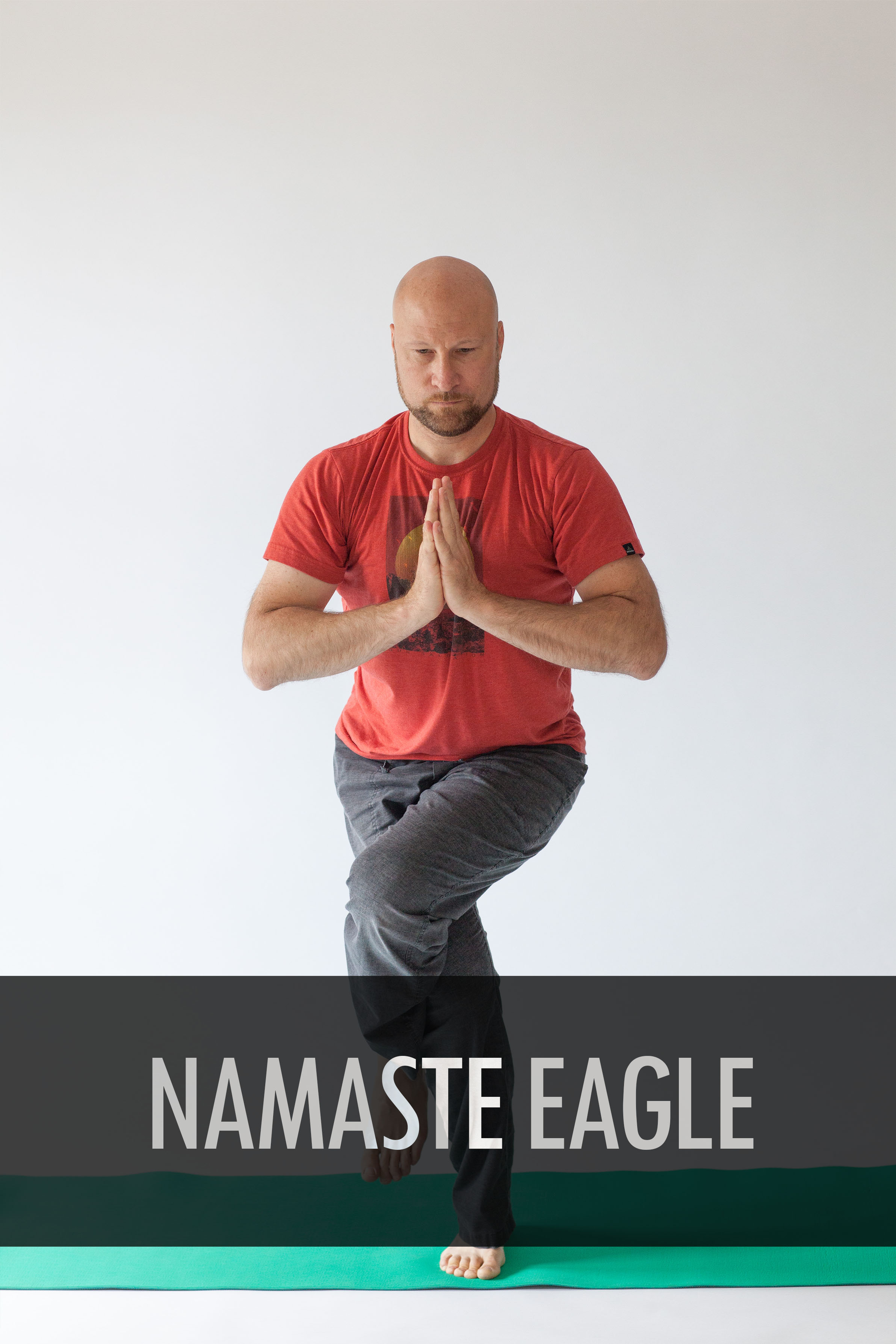 Namaste Eagle.jpg