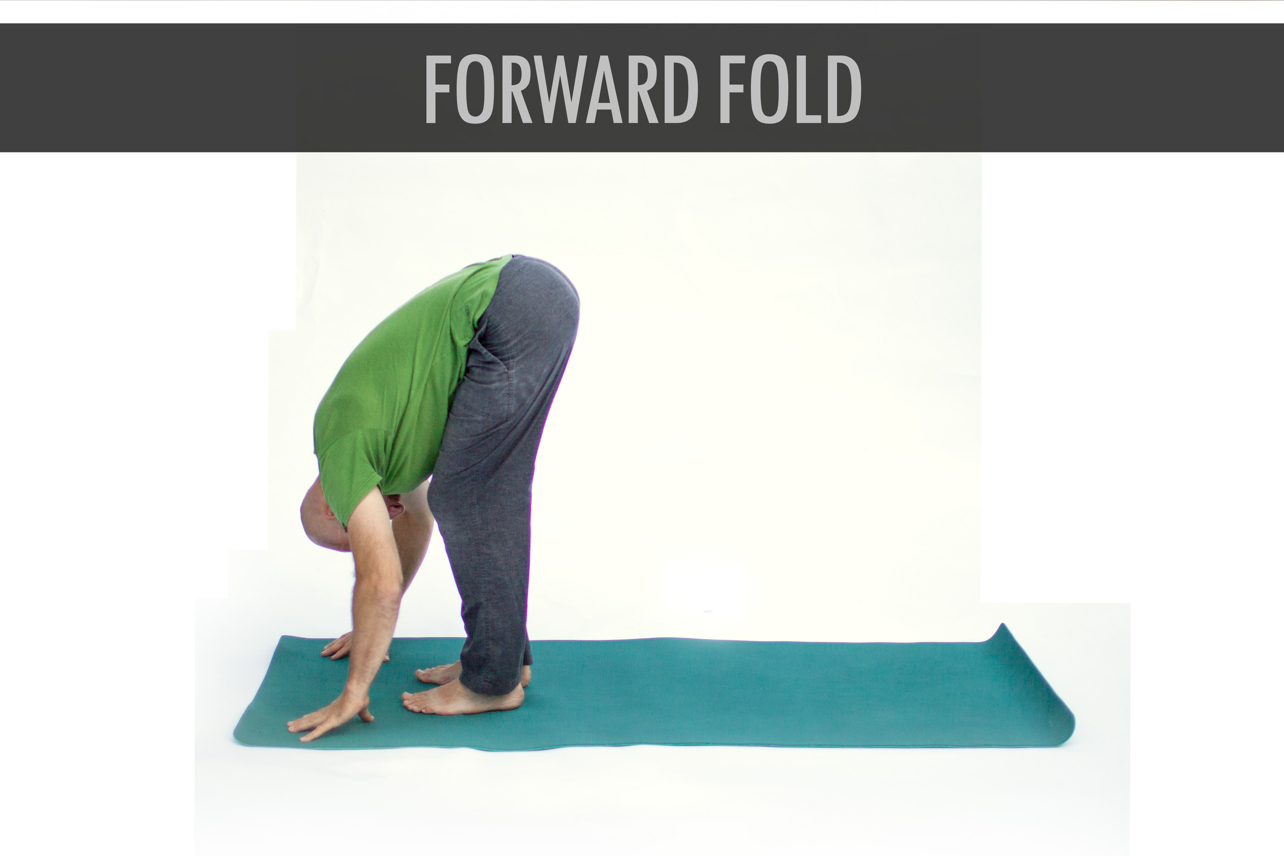 Forward Fold.jpg