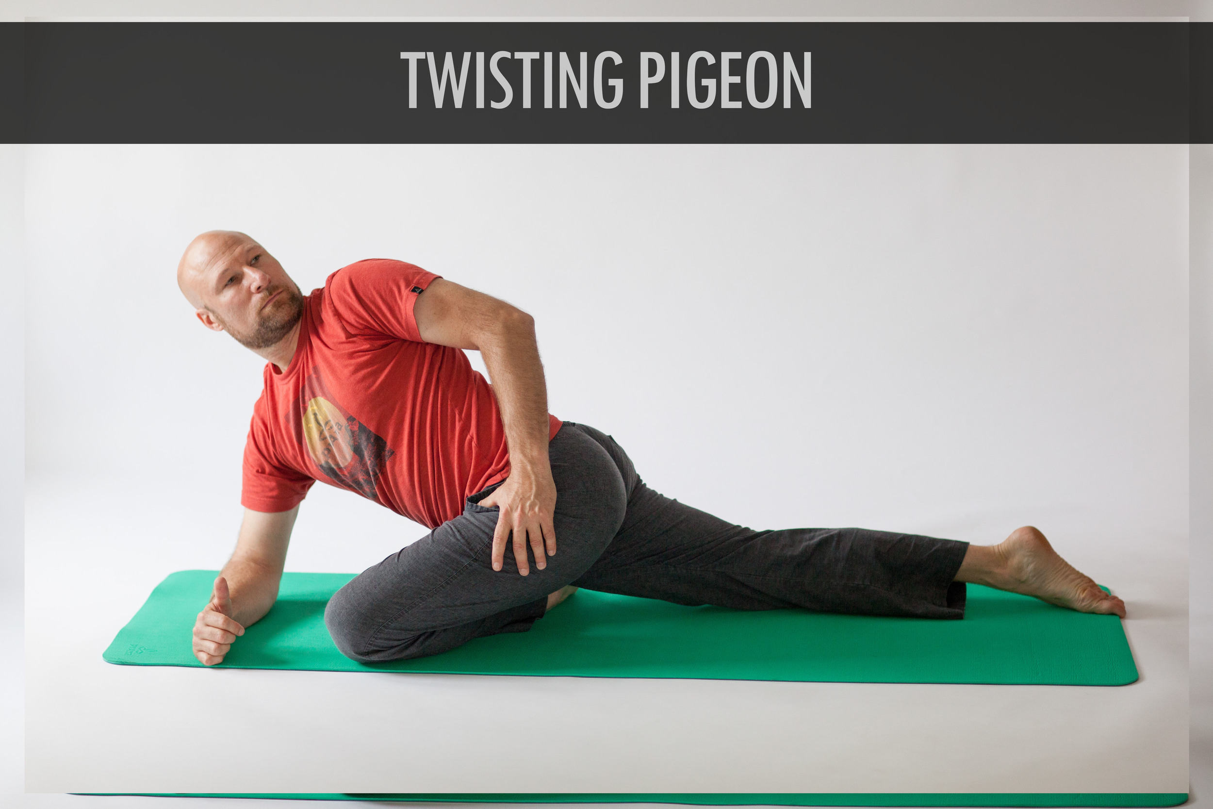 Twisting Pigeon.jpg