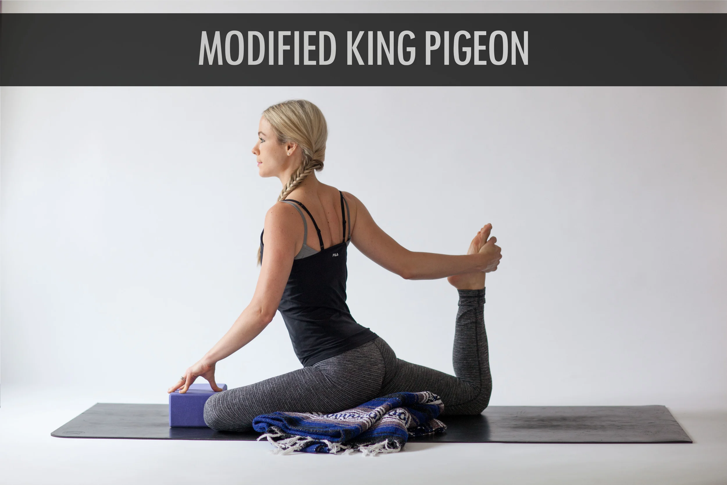 Modified King Pigeon .jpg
