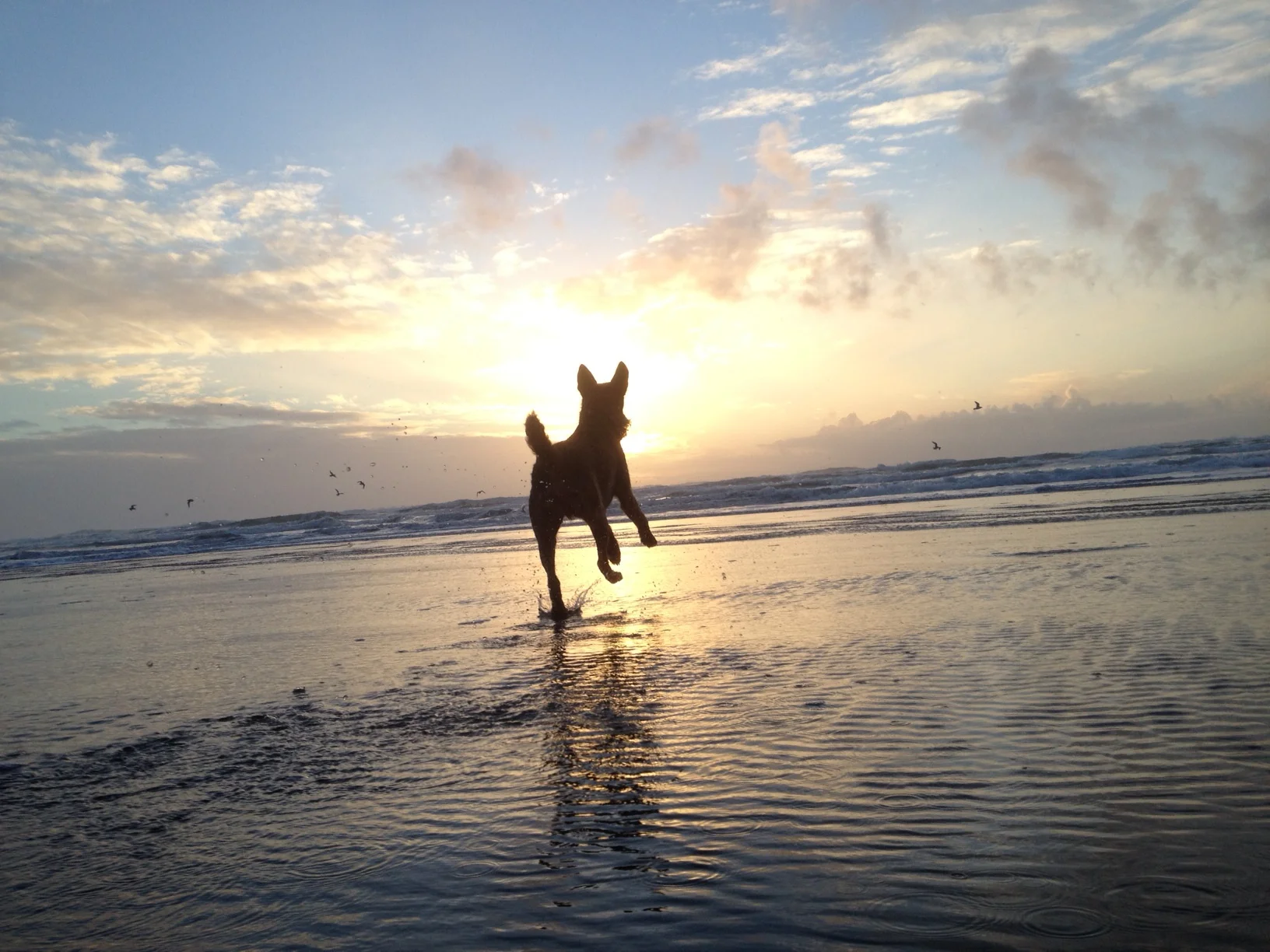 Zeiss finds his bliss. 