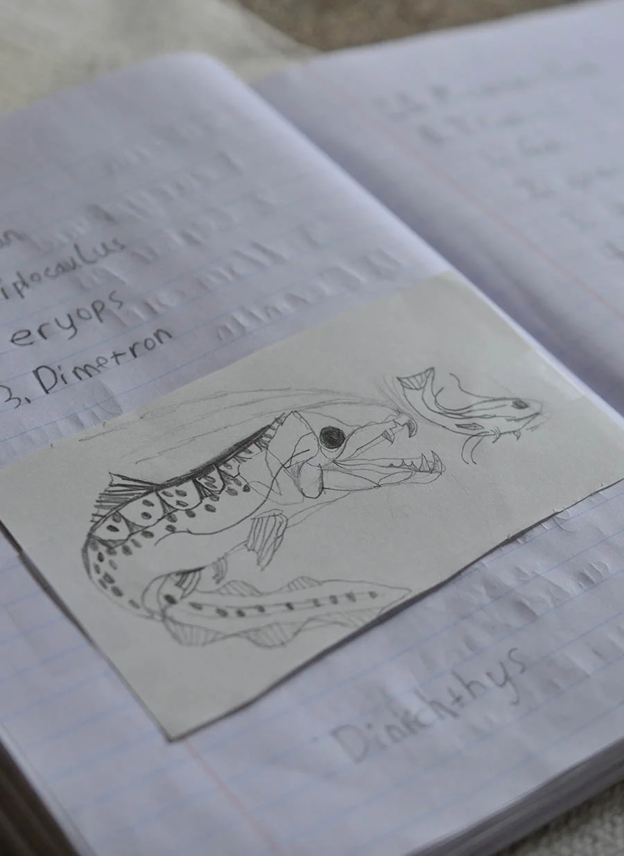 A Lower Elementary Science Journal Entry