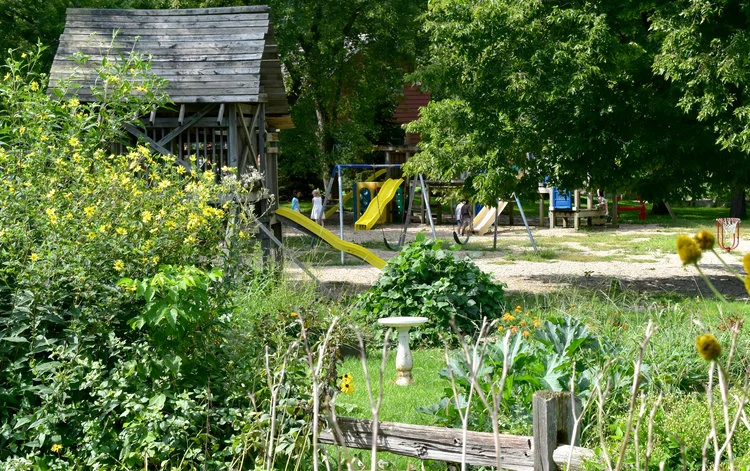 Campus in August
