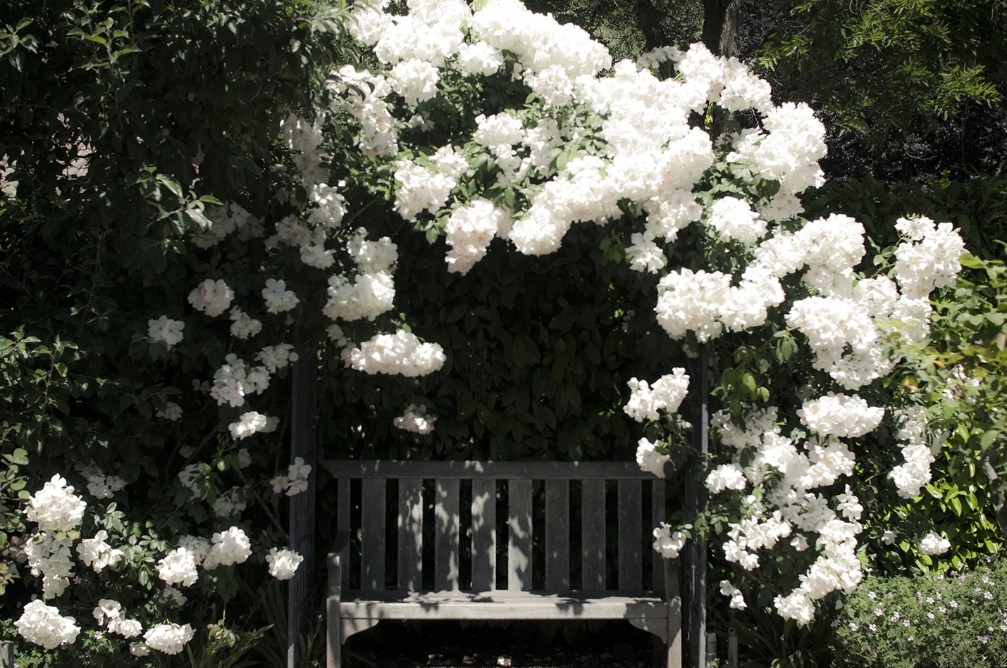 DSC_5940_smll.jpg