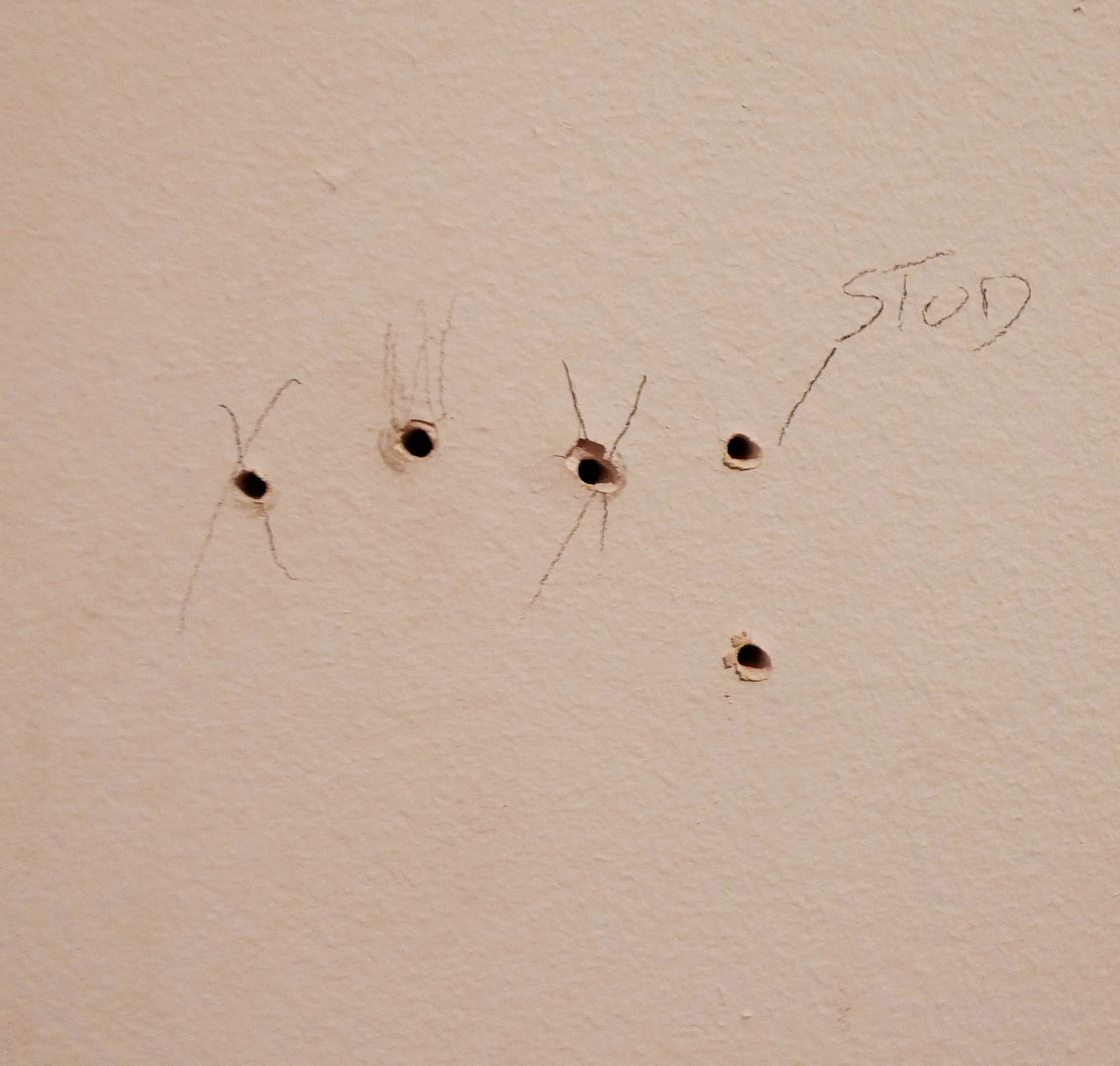 std.jpg