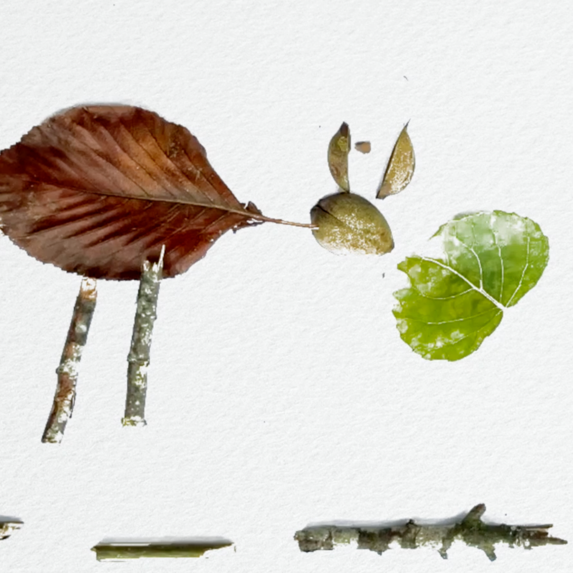 Hopes And Dreams for Our Future Environment