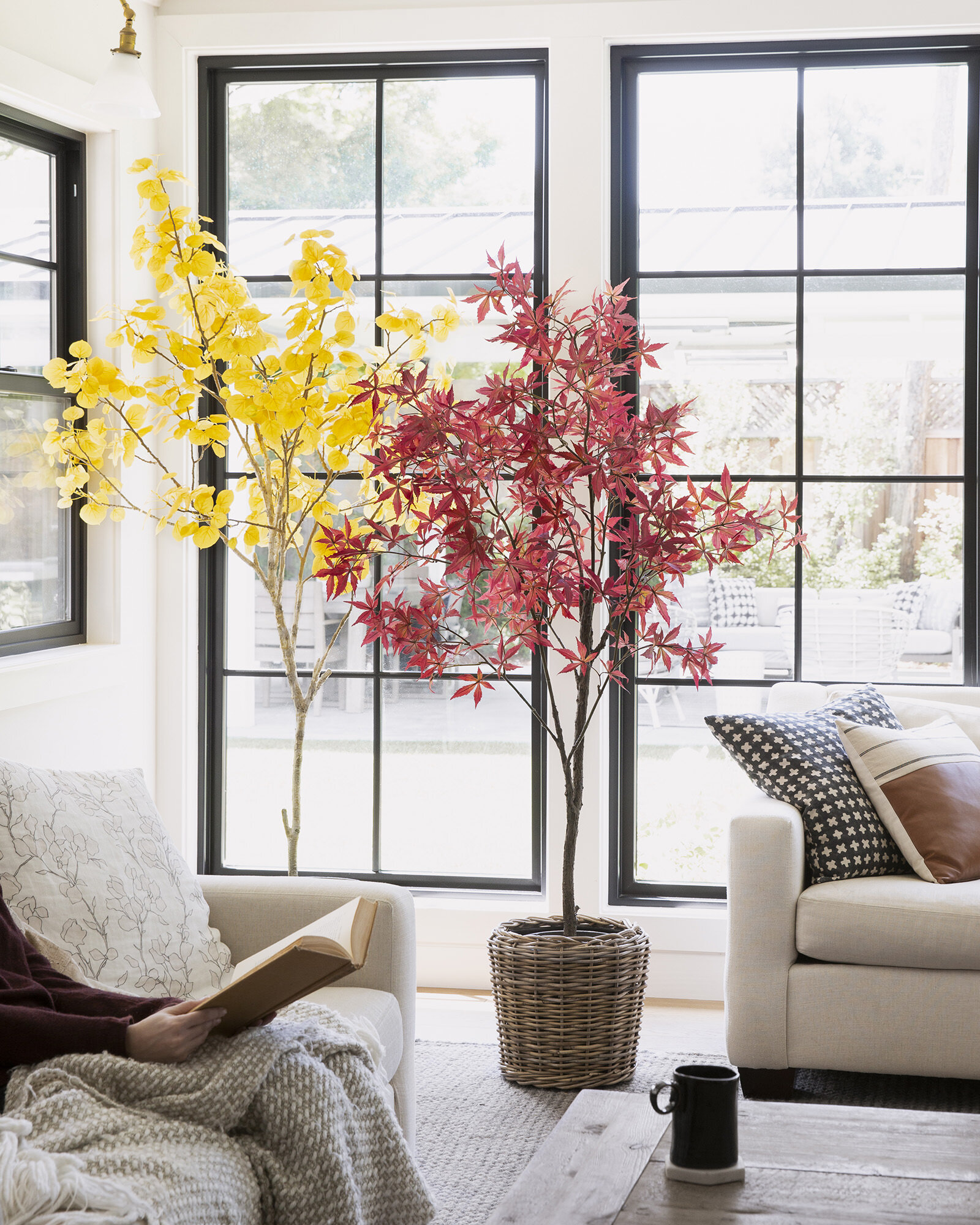 4002944_4002943_Potted Tree_SM Story_061-Edit-SM.jpg