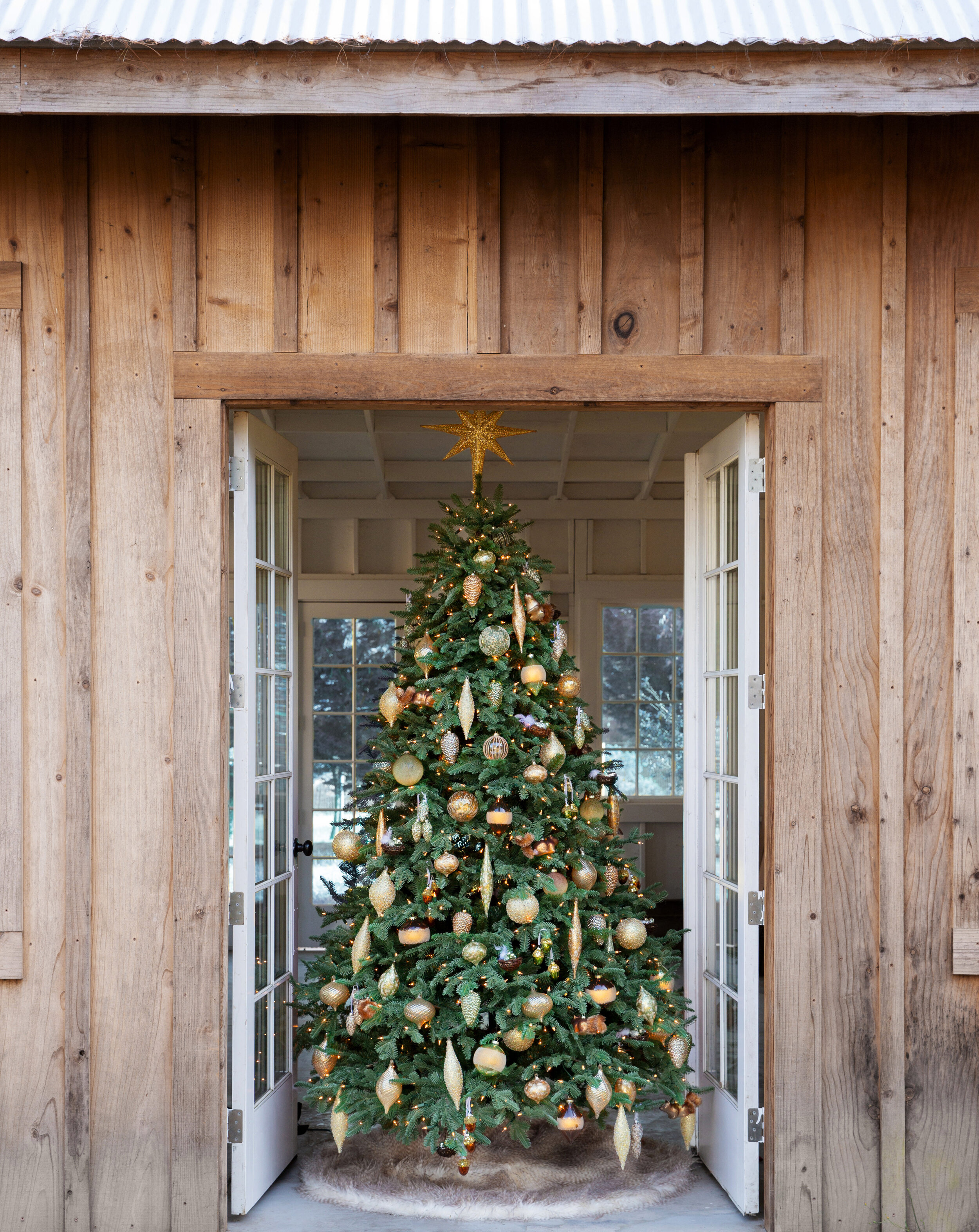17_7-5ft-BH-Balsam-Fir_Grand-Forest-Ornament_2800864_4002889_SM_0564-Edit.jpg
