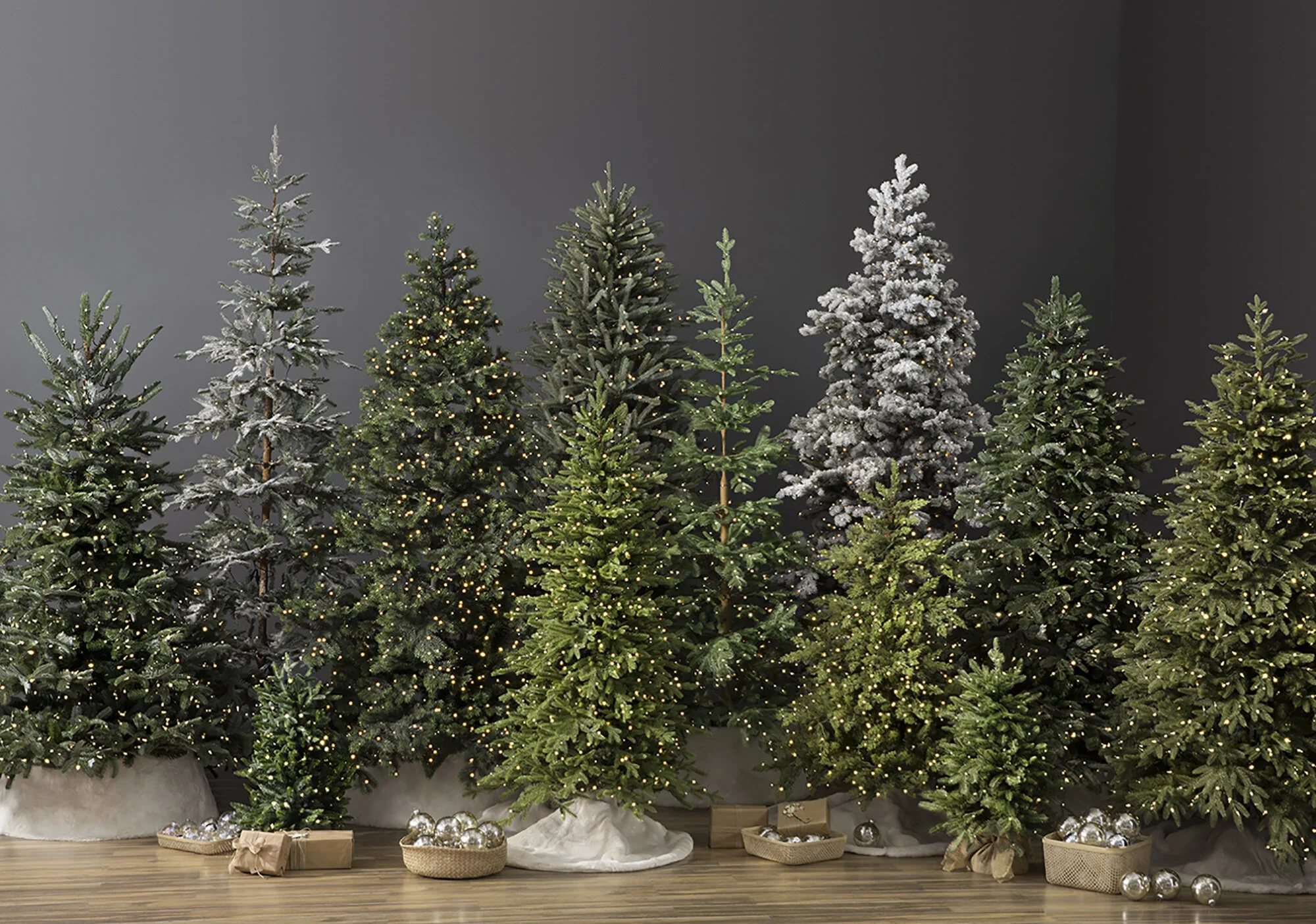 Spread 57_Tree-Variety-Master_Edit-V02.jpg