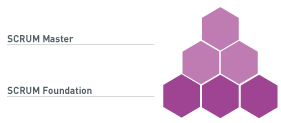 scrum_module.png