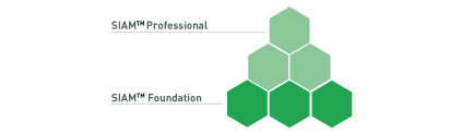 siam_module.png