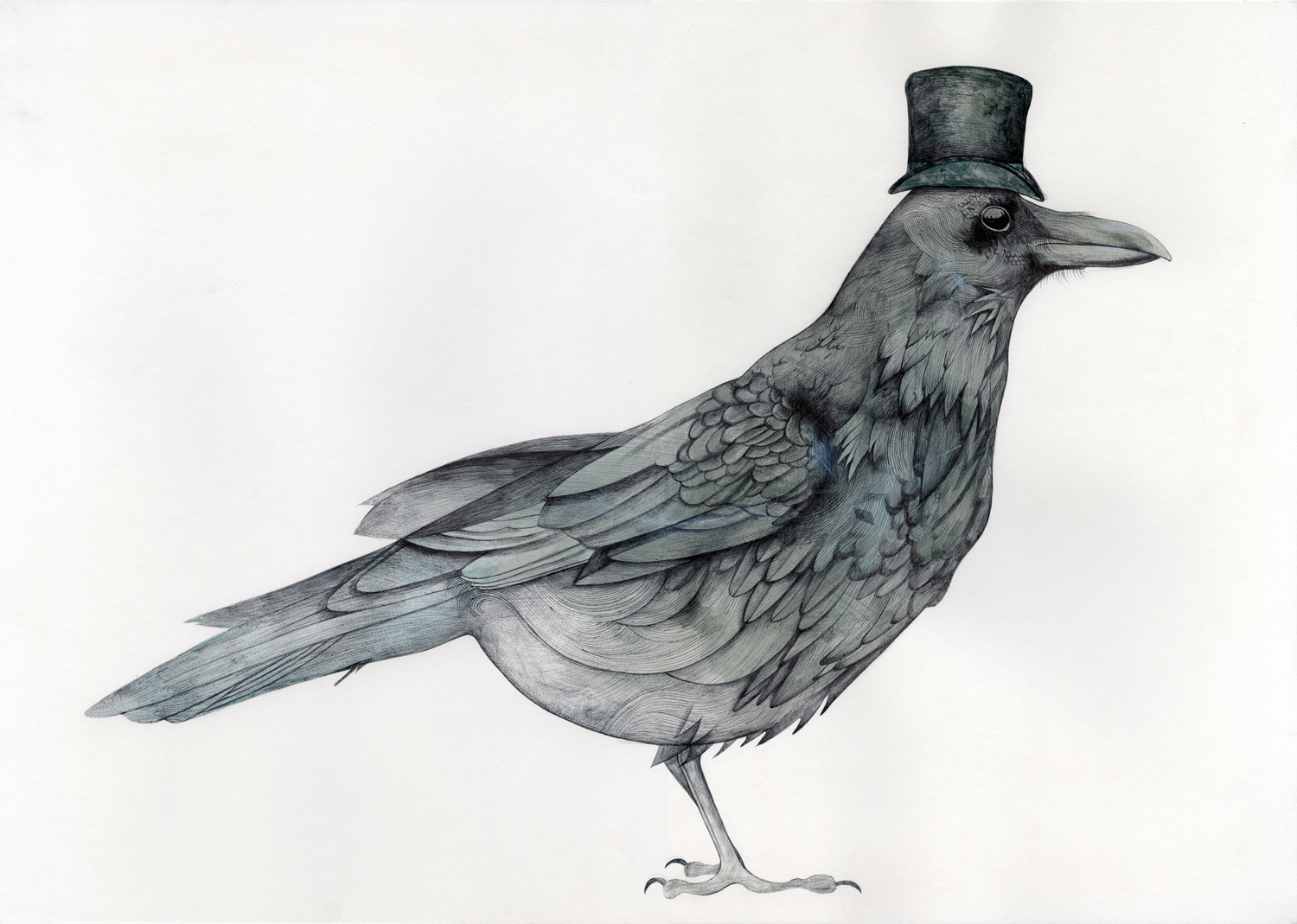 Drawing for 'Bewilderness', a solo show at Bowery Gallery Leeds in 2012