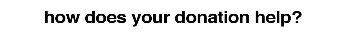how-does-your-donation-help.png