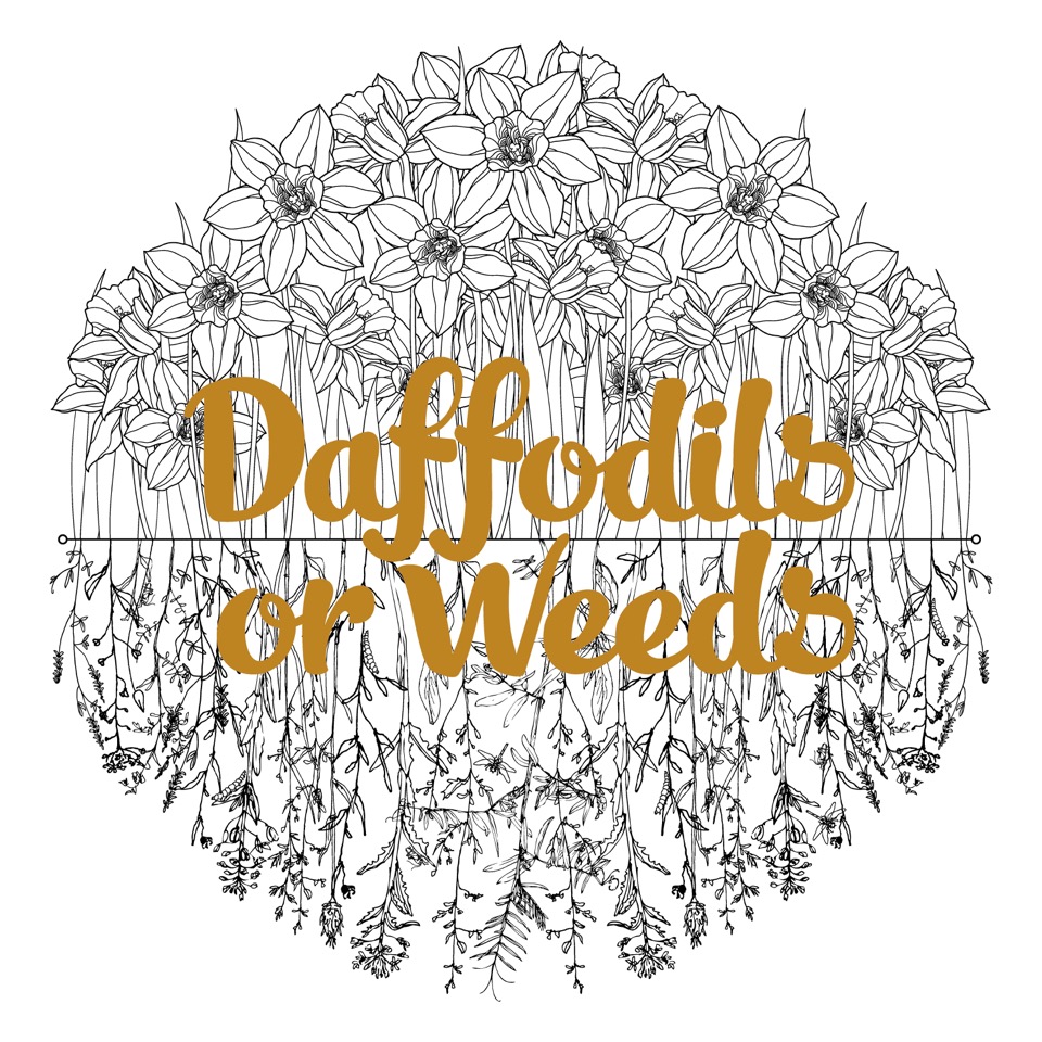 Kate Fuller - Daffodils or Weeds - iTunes Image.jpeg