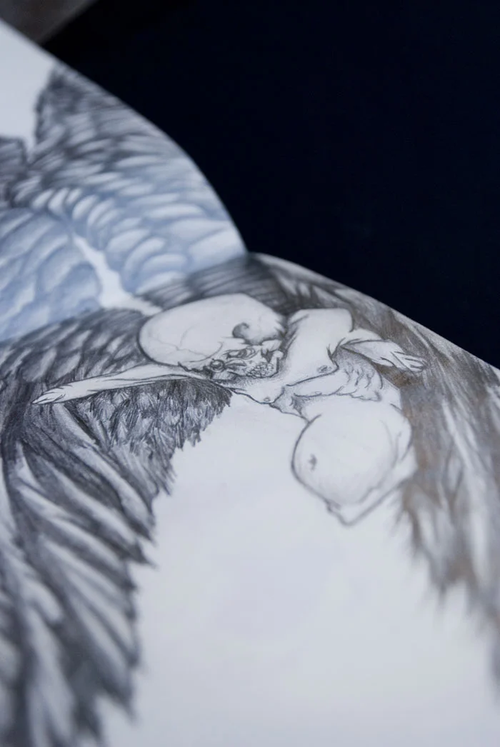 Wings