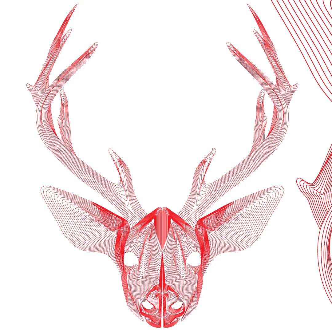 Deer-Mesh-01.jpg