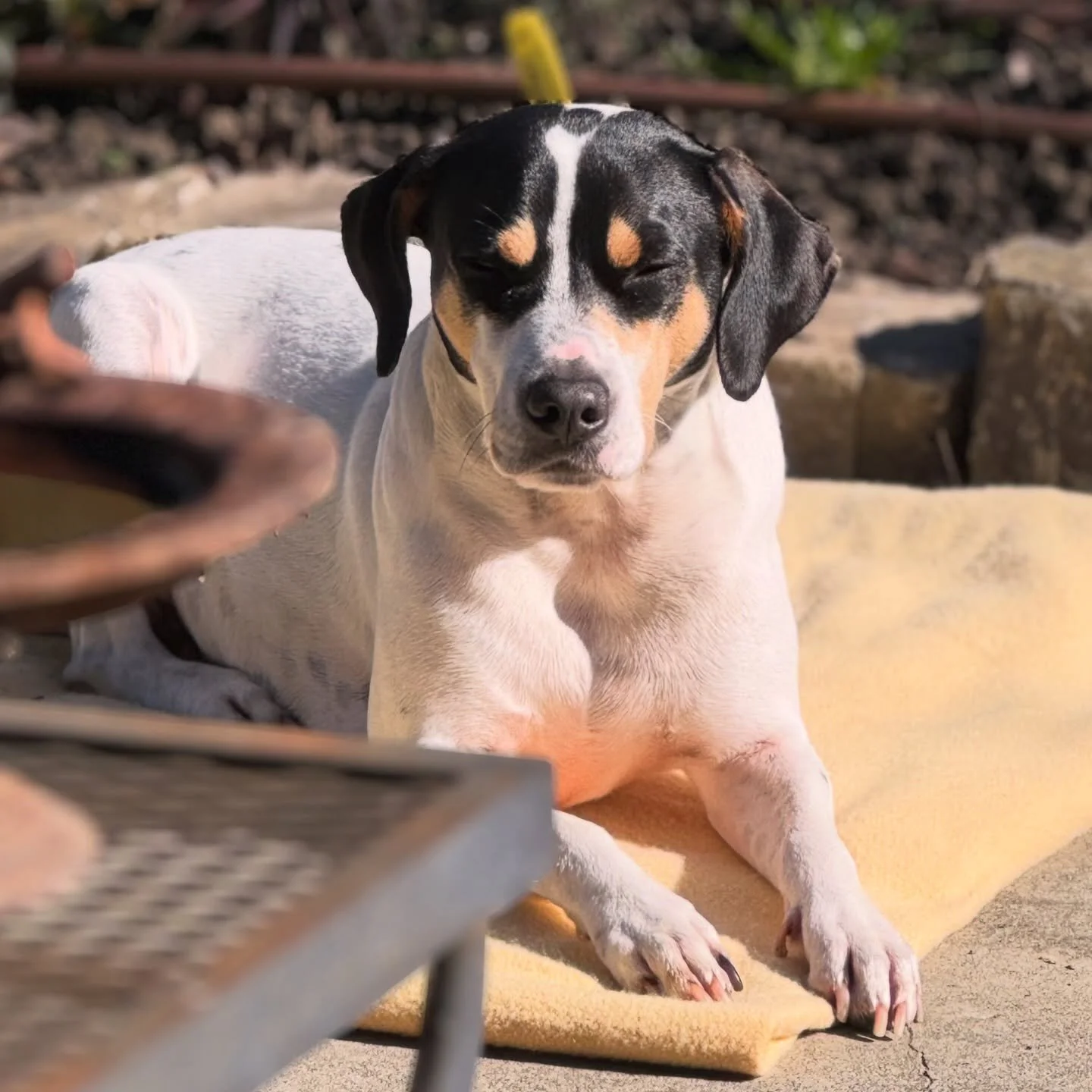 Duo show TODAY @berryessabrewingco from 3-6pm!
Come on out and chill with us in the sunshine!