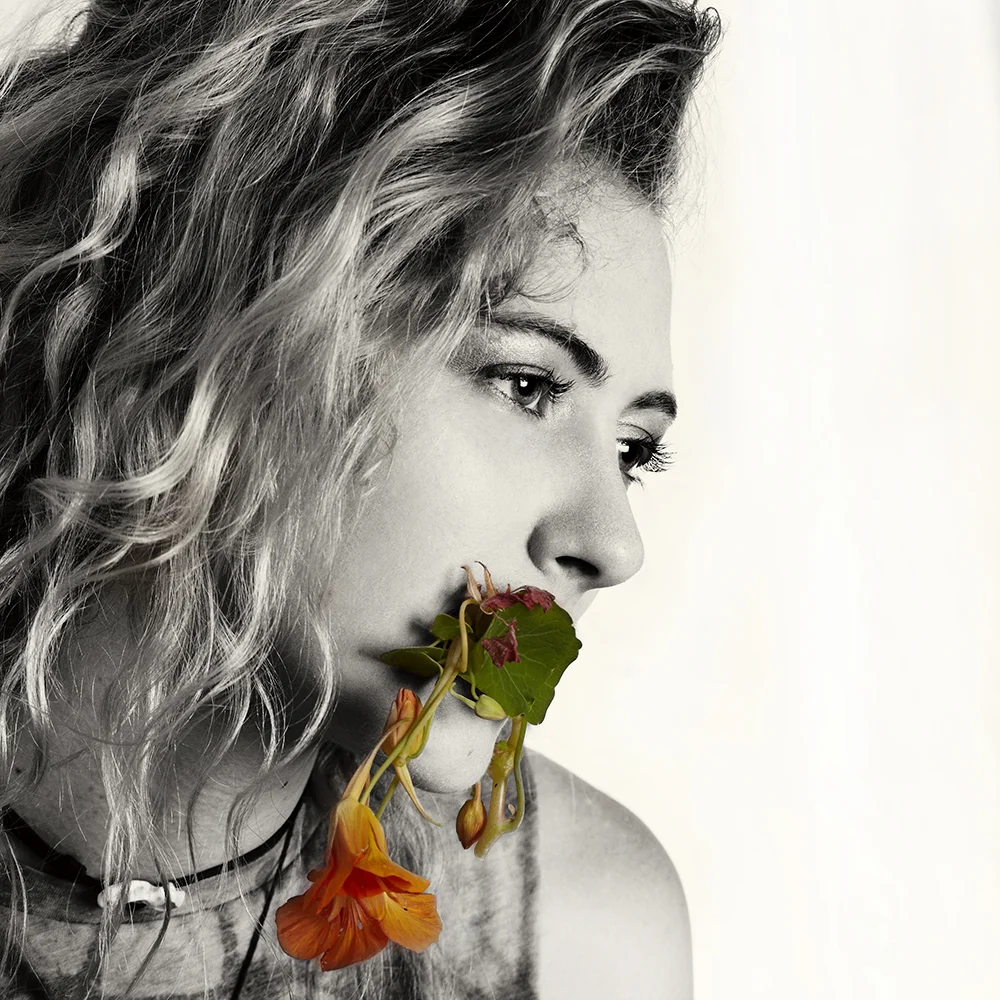 Amy Traveler
