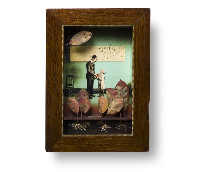 RED APPLE 12" X 16" X 3.5" tupelo leaves, wire, encaustic wax and an old photo.