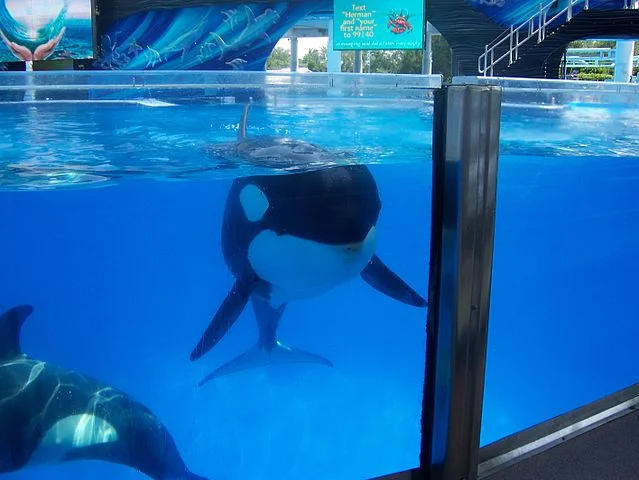 SEA CHANGE AT SEAWORLD