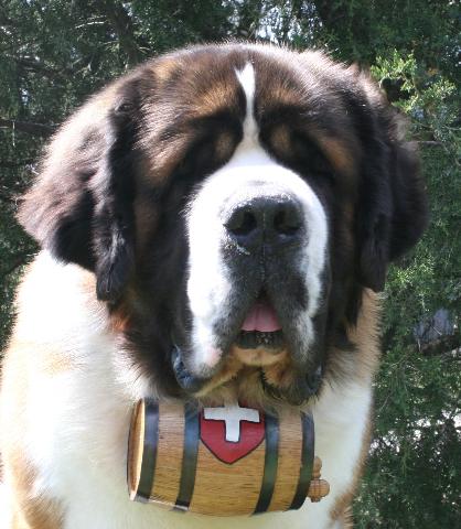 St. Bernard Dog, by Legav