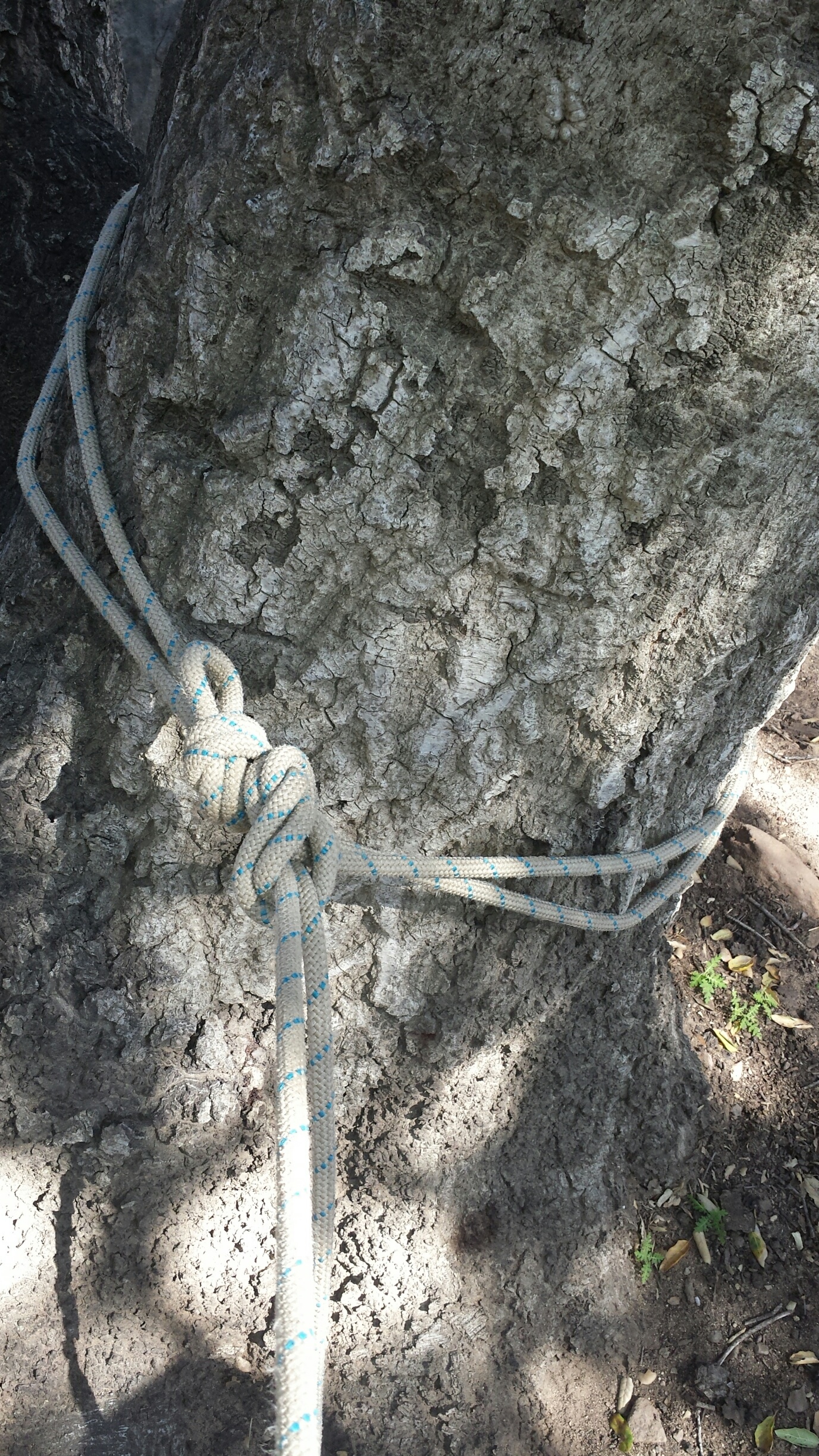 MICRO VIEW - Anchor piece 1 is built using a bowline on a bite. This allows for two strands of rope to come out of the master point of the bowline. One strand for the anchor builder to attach themselves to as a safety line, and the other to use as one side of the anchor. The bowline is finished with an overhand or double fisherman's knot.