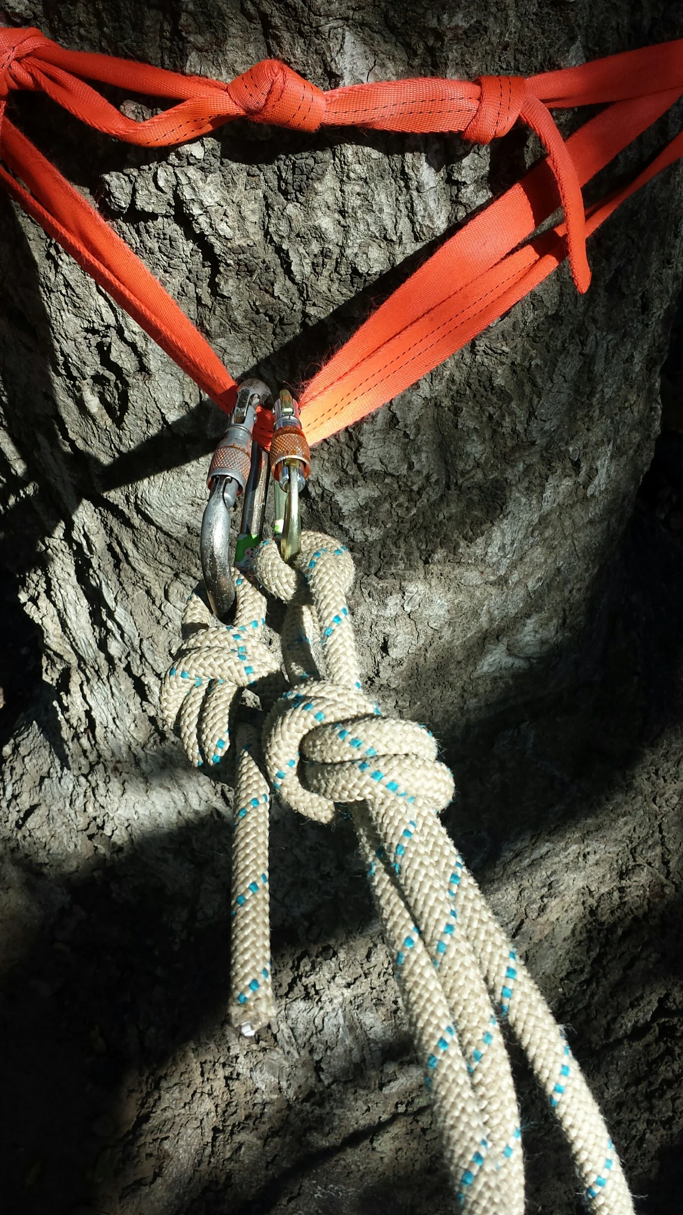 MICRO VIEW - Anchor piece 2 is built using a piece of 1" tape wrapped three times around a tree. A water knot is used to attach the ends of tape together, with overhand finishing knots. Pulling on two of the three strands wrapping the tree (leaving the strand with the knots) gives us a very strong attachment point while the friction of the tape wrapping the tree will allow us to easily untie our water knot at the end of the day (water knot's can be extremely difficult to untie when fully weighted). An overhand on a bite is used to attach the very end of the static rope to the tape using a locking carabiner. The slack is taken out of the system using a clove hitch on a large pear-shaped carabiner. A finishing over-hand or double-fisherman's knot is used to clean up the excess rope along the main line after taking out all slack and equalizing the main master point of the anchor.