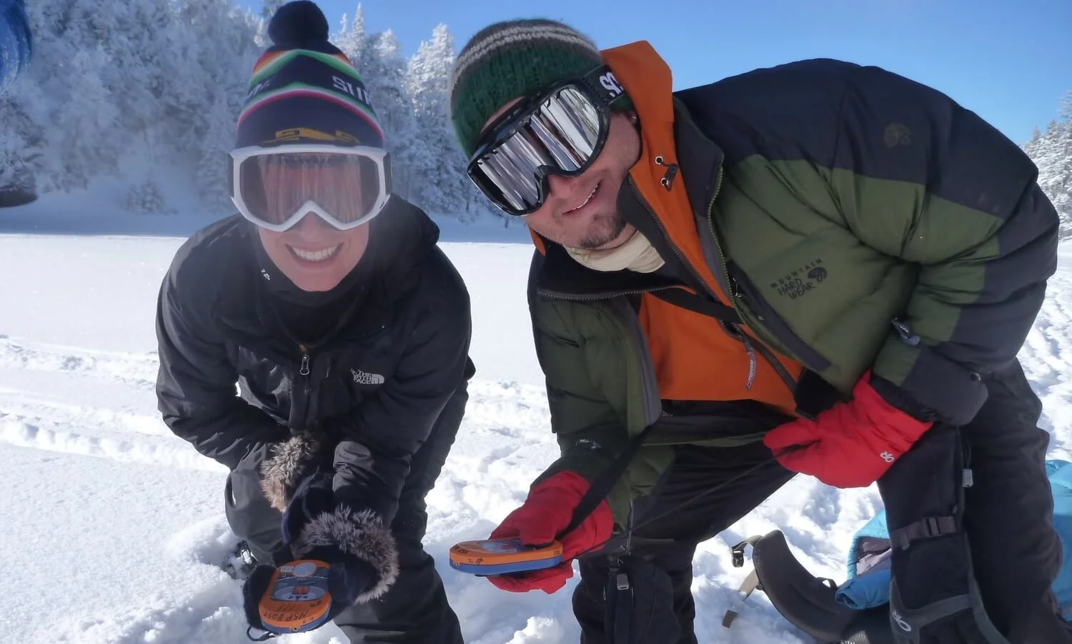 Employment+Page (1).jpeg