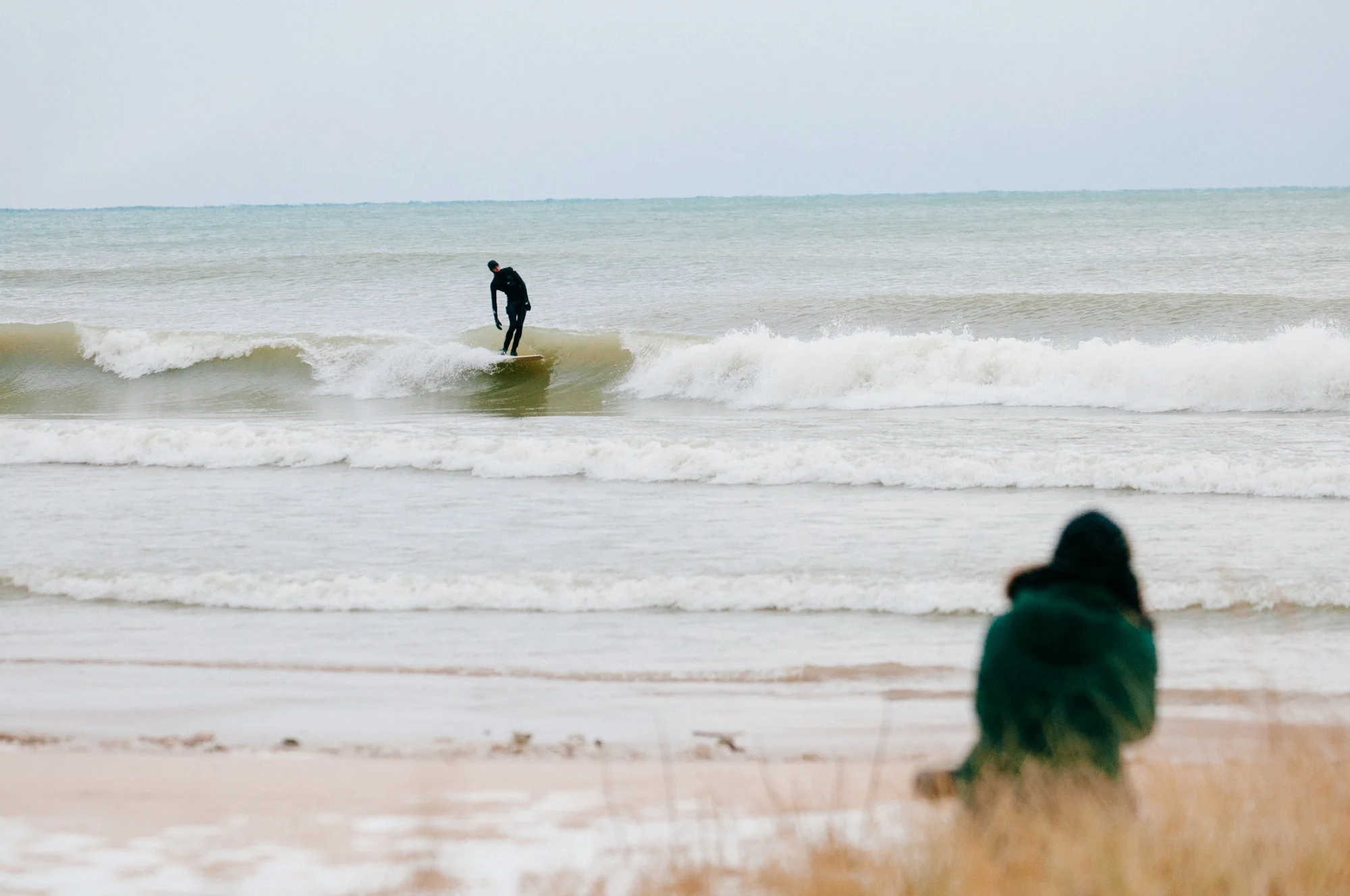 20141113_ACR_0127.jpg