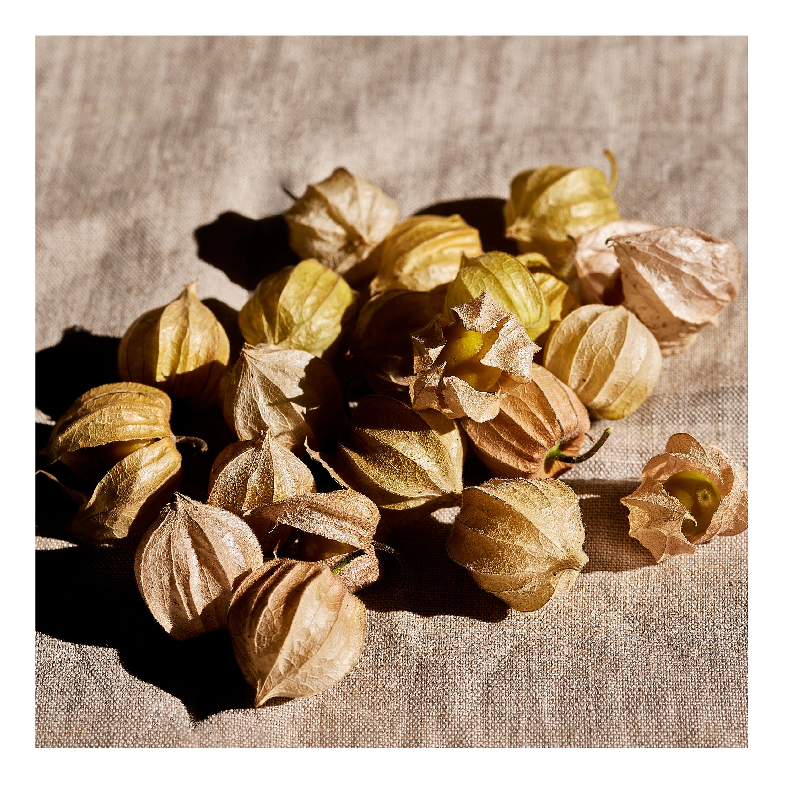 Gooseberries squ preview.jpg