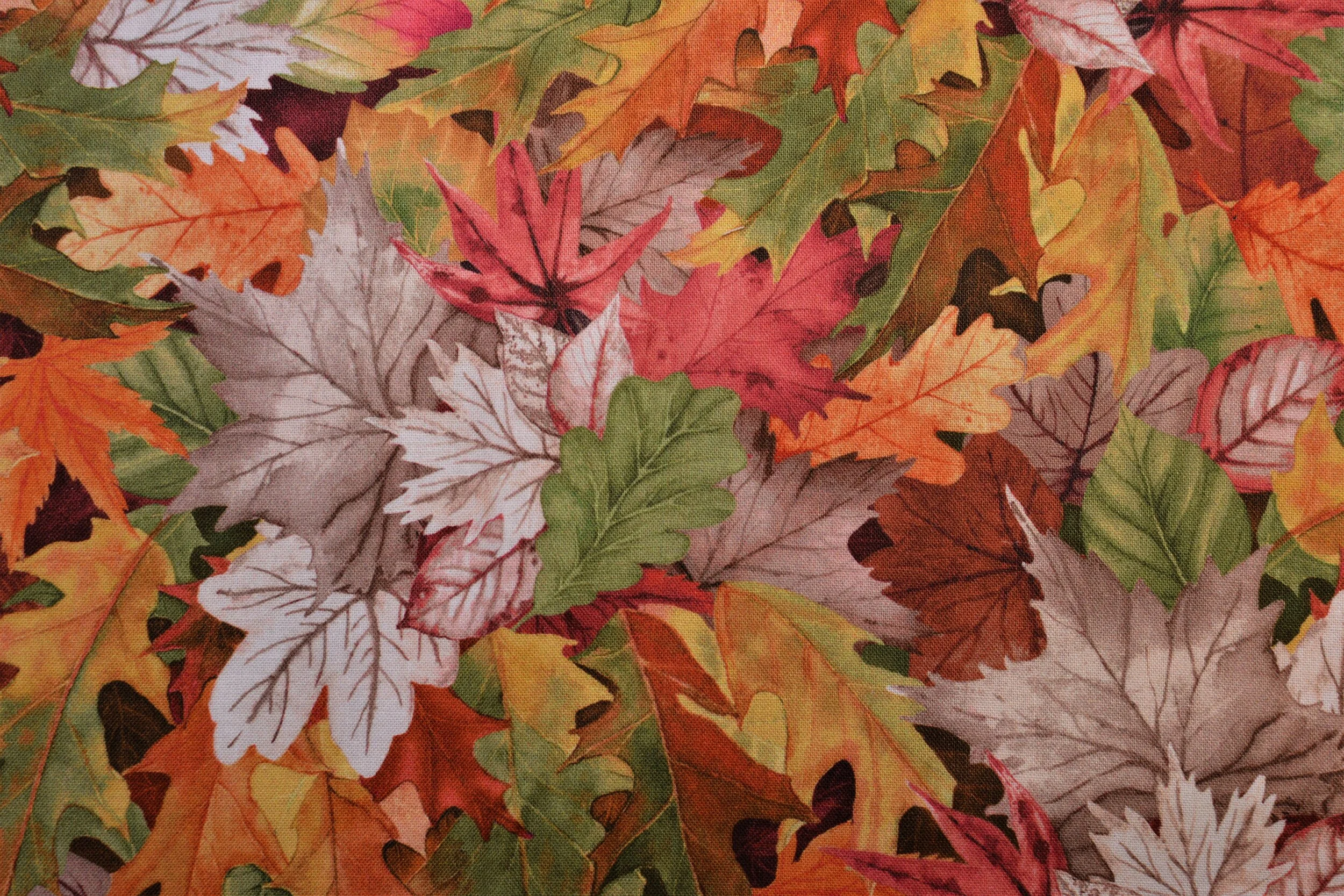 AutumnLeaves.JPG
