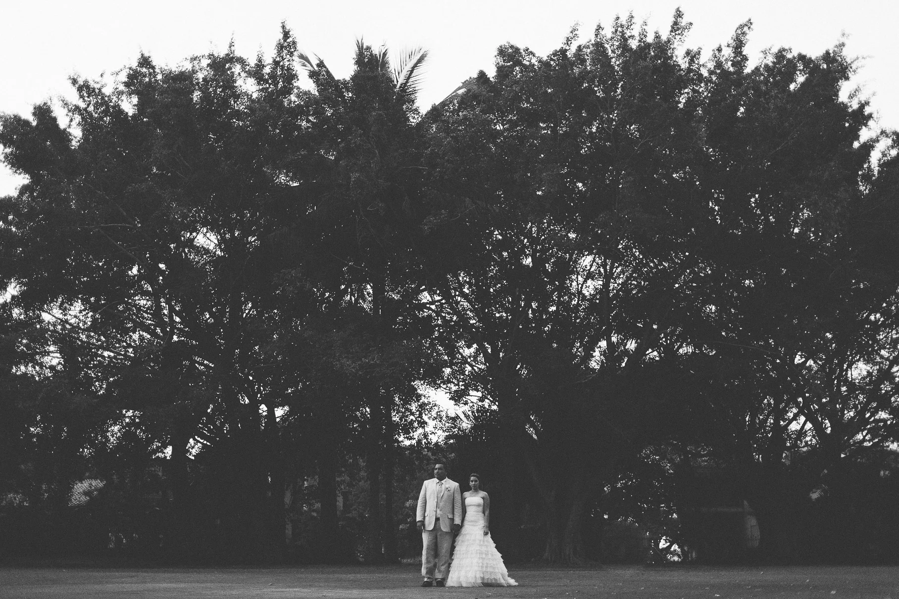 Blanca and David - Westin Regina Puerto Vallarta