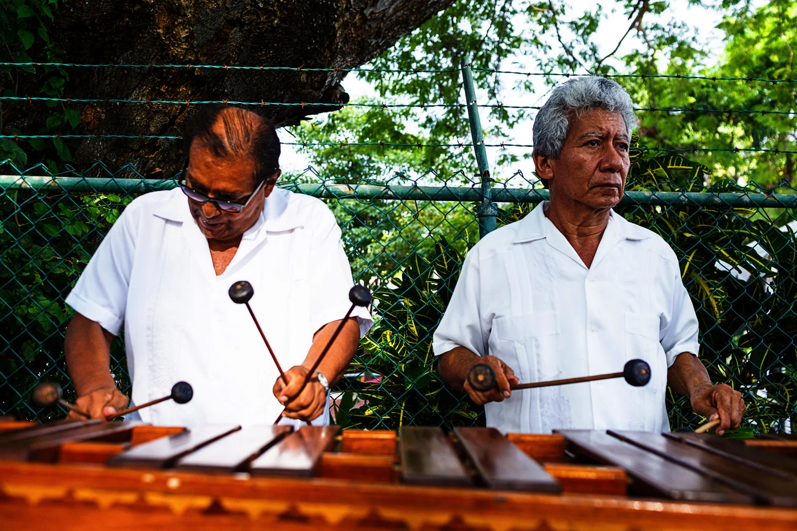 Marimba amenizando el cocktail en la recepción