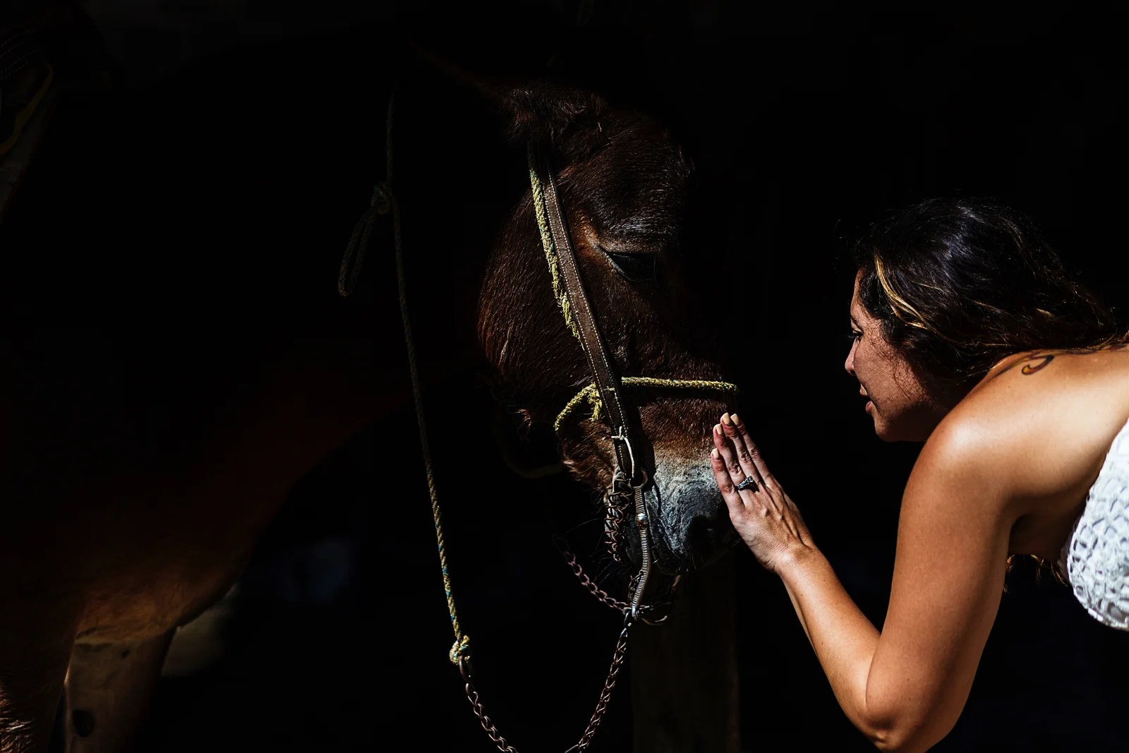 Bride caressing a donkey's face