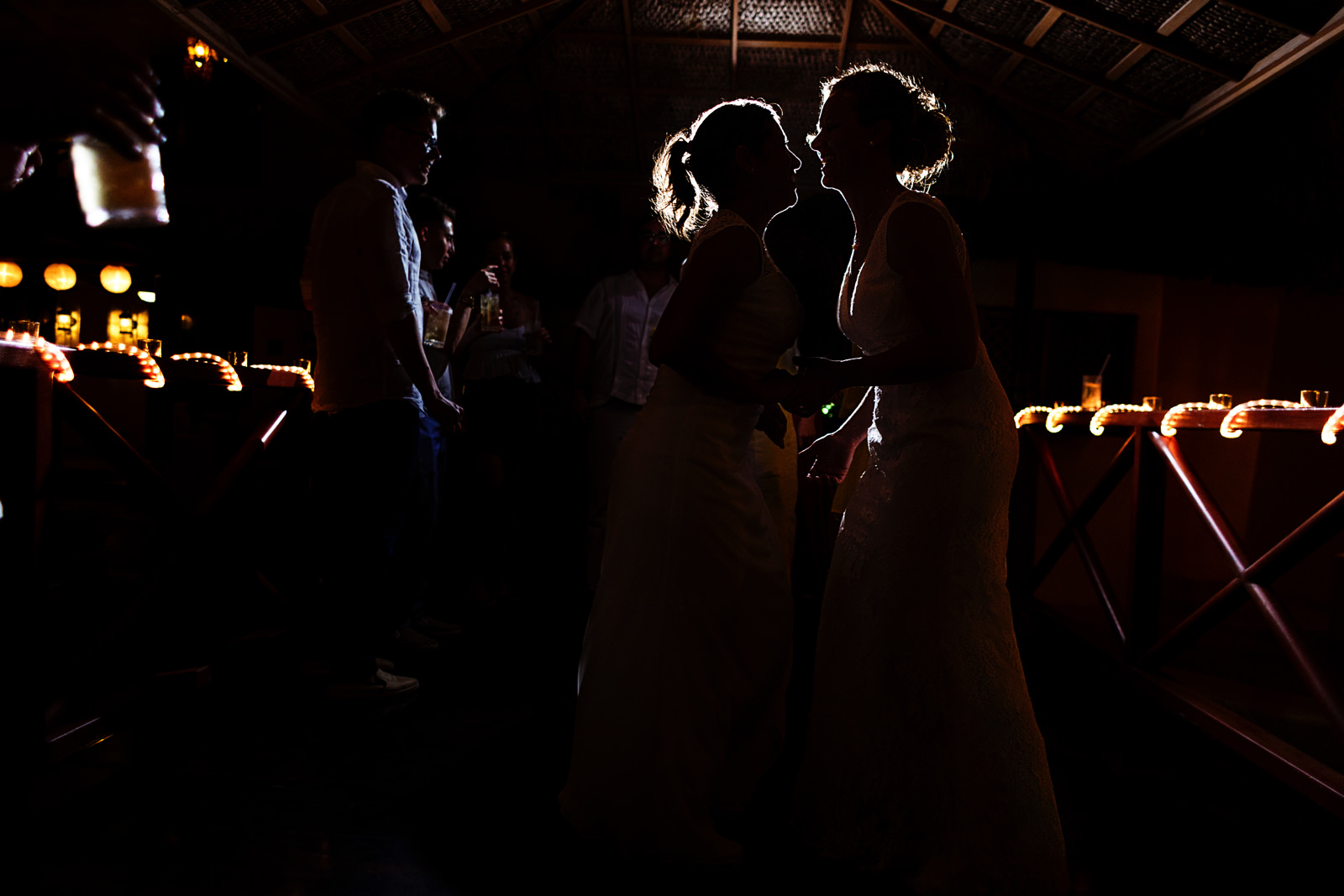 silhouette_lesbian_brides_party