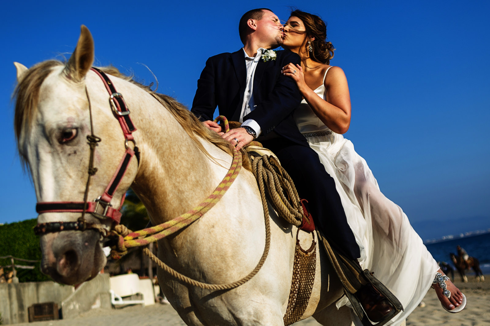 Bride and groom kiss while horse backridding 