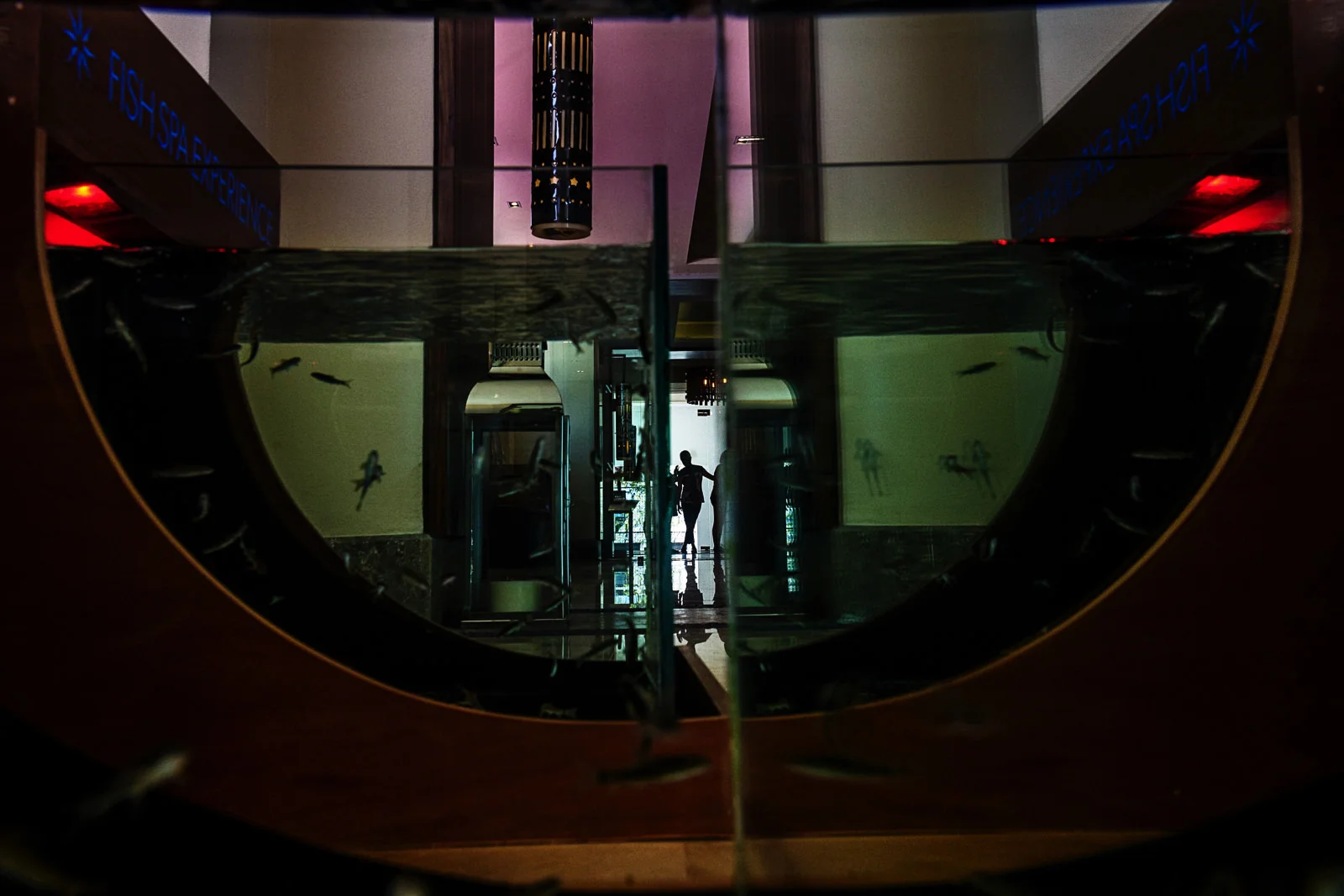 Silhouette of the bride through a spa fish tank
