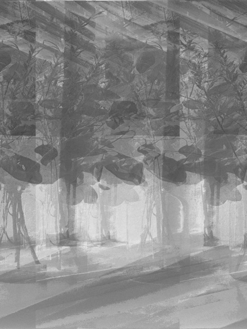 flowersarebent.jpeg