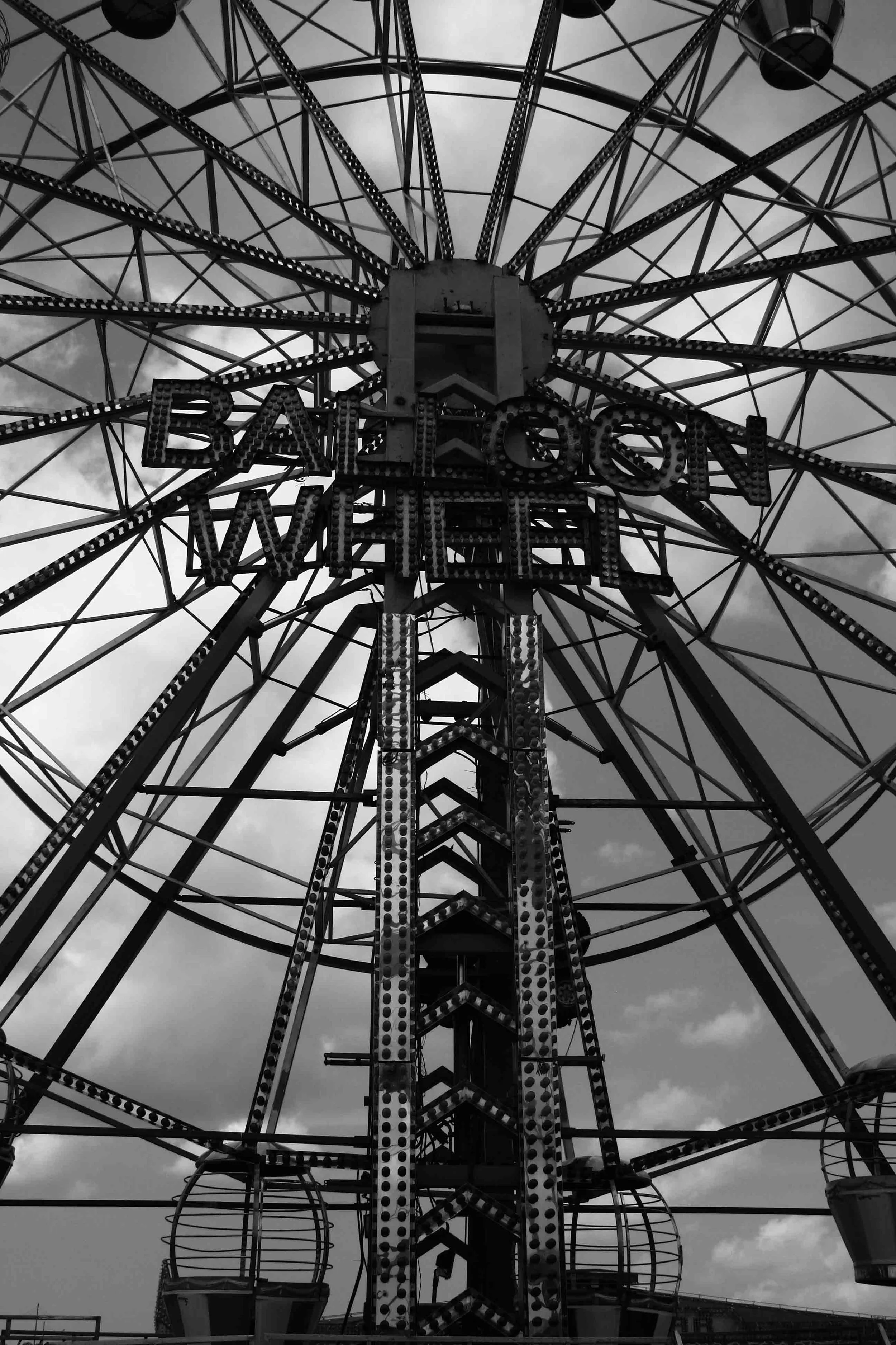 IMG_3844.jpg